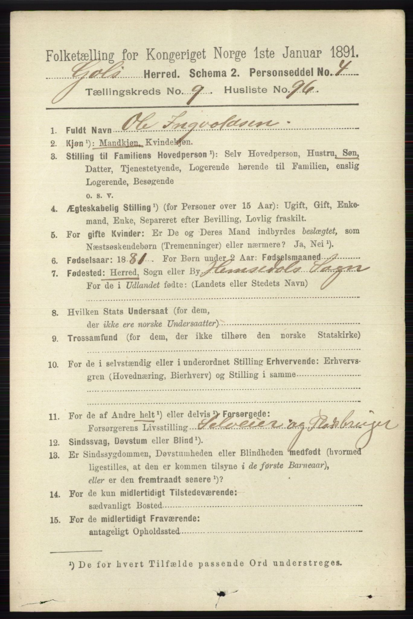 RA, 1891 census for 0617 Gol og Hemsedal, 1891, p. 3976