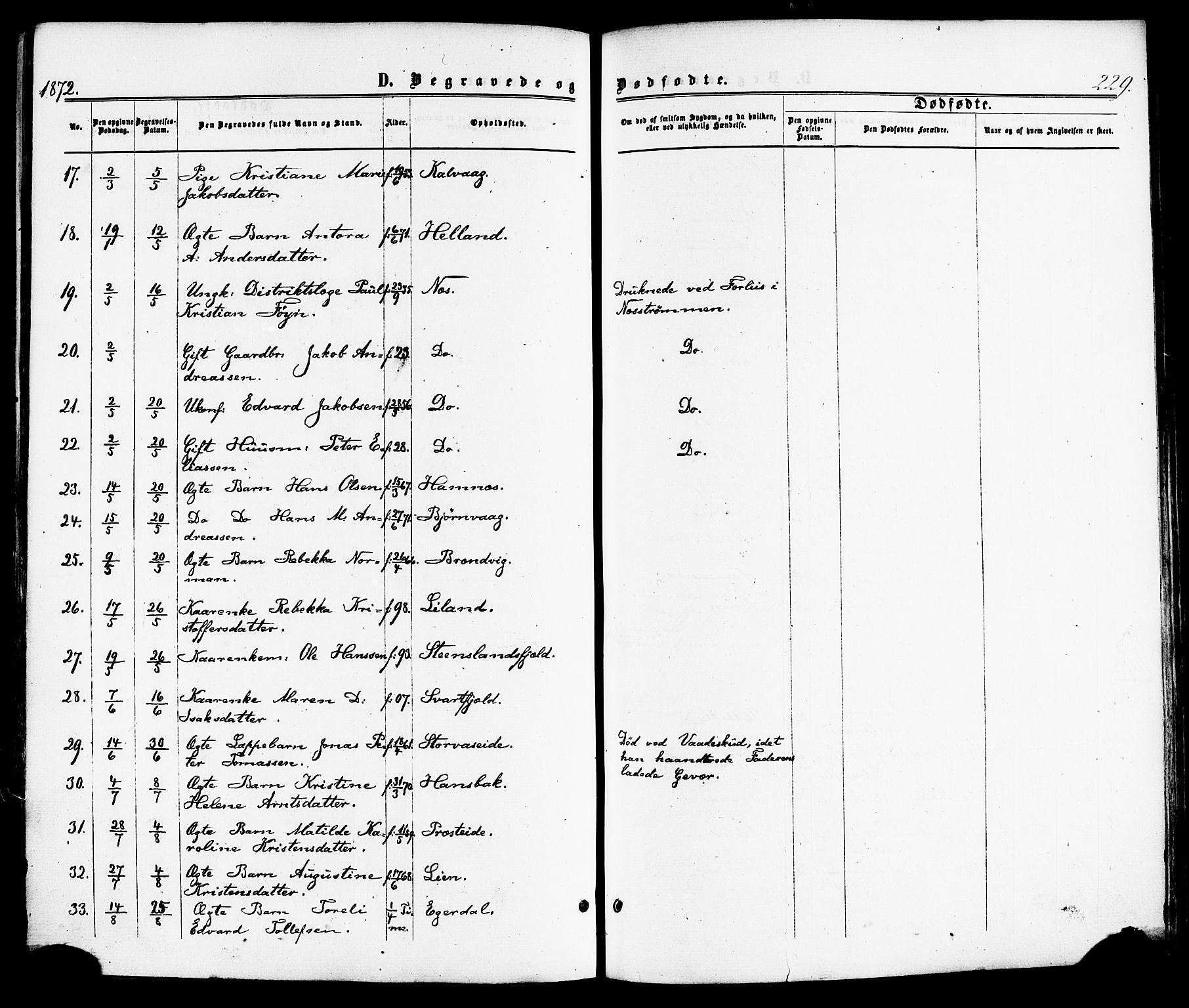 Ministerialprotokoller, klokkerbøker og fødselsregistre - Nordland, SAT/A-1459/859/L0845: Parish register (official) no. 859A05, 1863-1877, p. 229