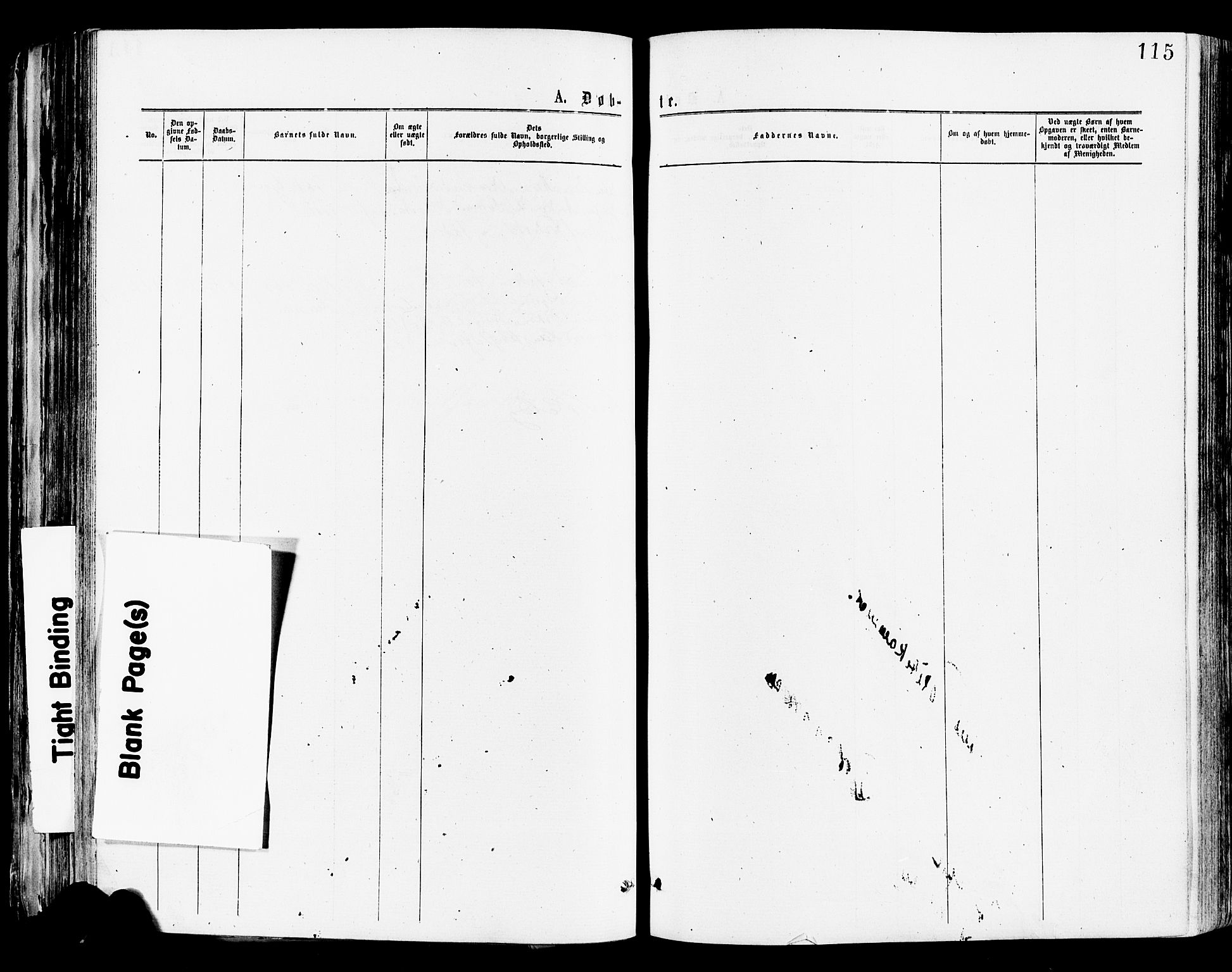 Tønsberg kirkebøker, SAKO/A-330/F/Fa/L0010: Parish register (official) no. I 10, 1874-1880, p. 115