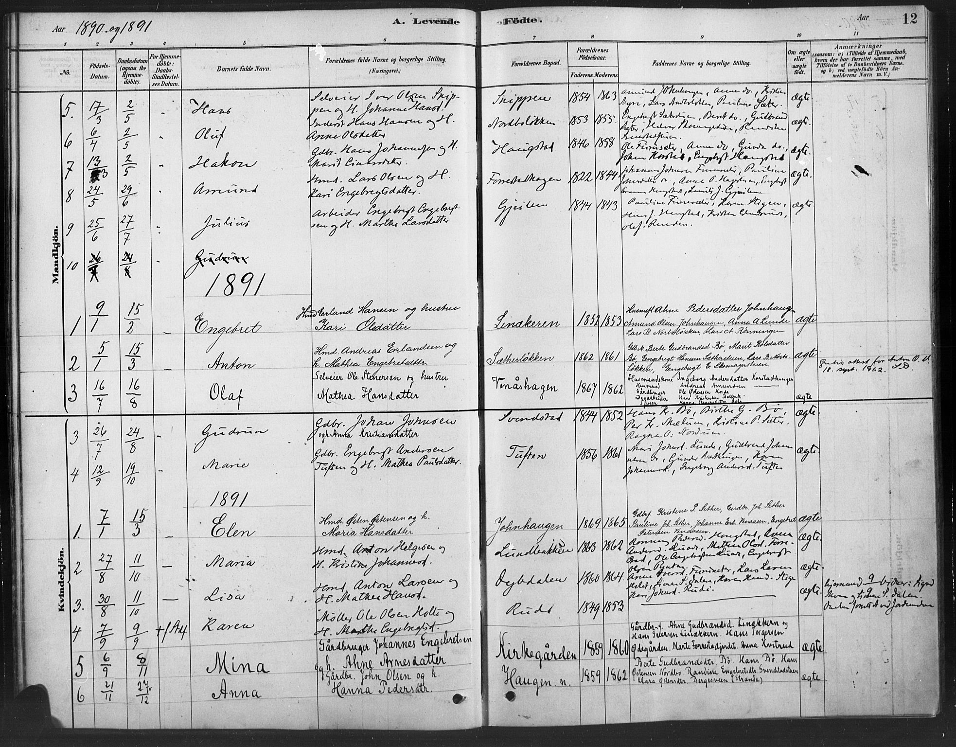 Ringebu prestekontor, SAH/PREST-082/H/Ha/Haa/L0010: Parish register (official) no. 10, 1878-1898, p. 12