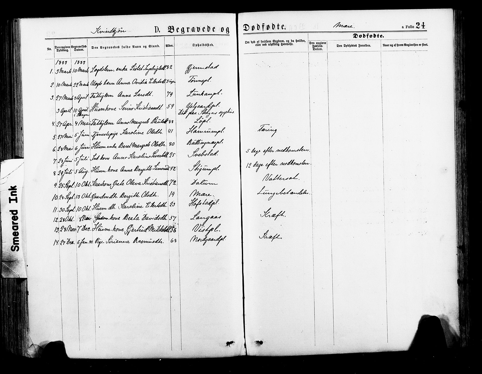 Ministerialprotokoller, klokkerbøker og fødselsregistre - Nord-Trøndelag, AV/SAT-A-1458/735/L0348: Parish register (official) no. 735A09 /1, 1873-1883, p. 24