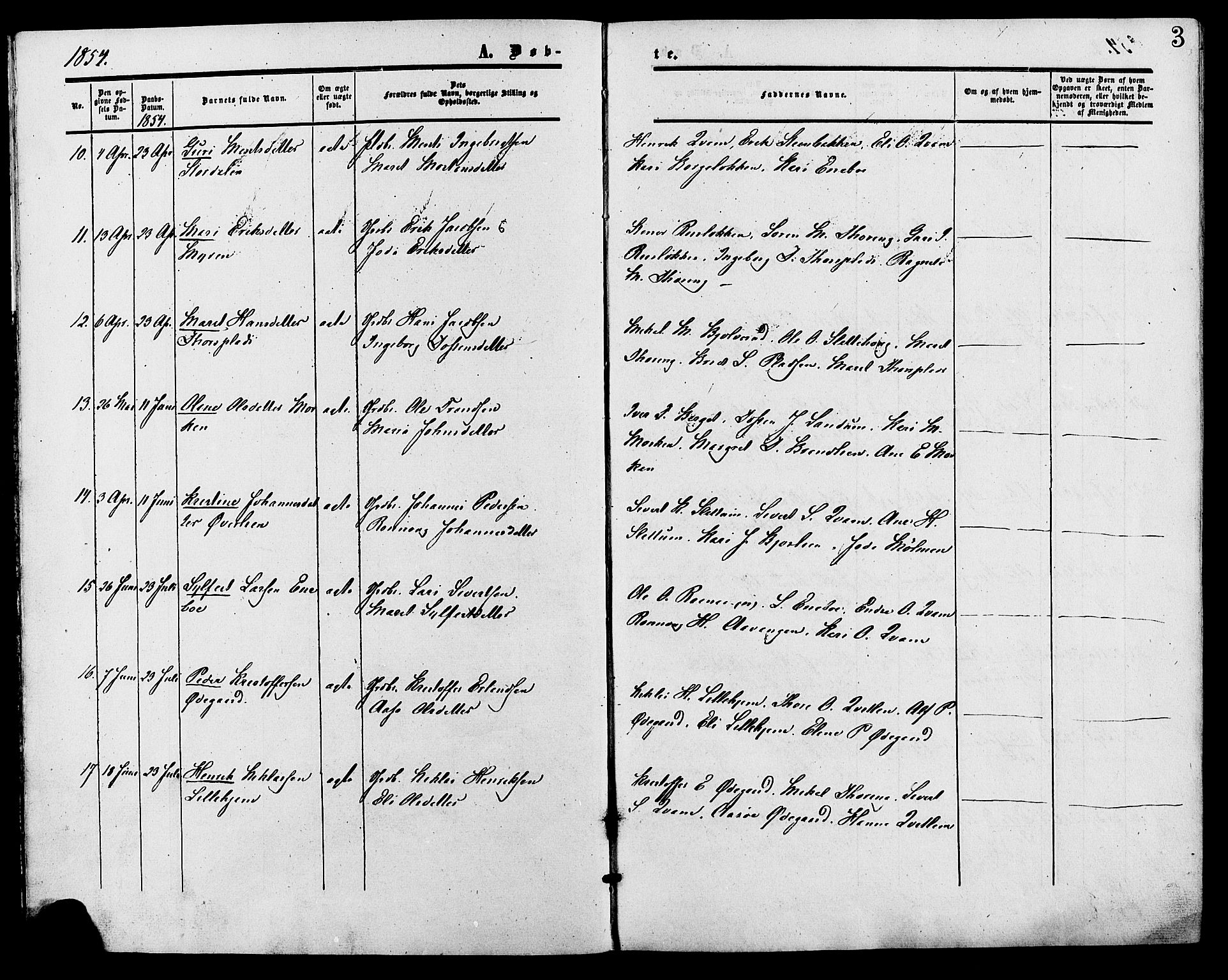 Lesja prestekontor, SAH/PREST-068/H/Ha/Haa/L0009: Parish register (official) no. 9, 1854-1889, p. 3