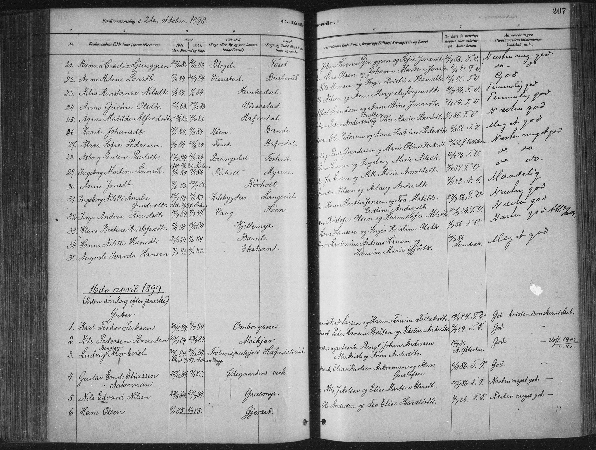 Bamble kirkebøker, SAKO/A-253/F/Fa/L0007: Parish register (official) no. I 7, 1878-1888, p. 207