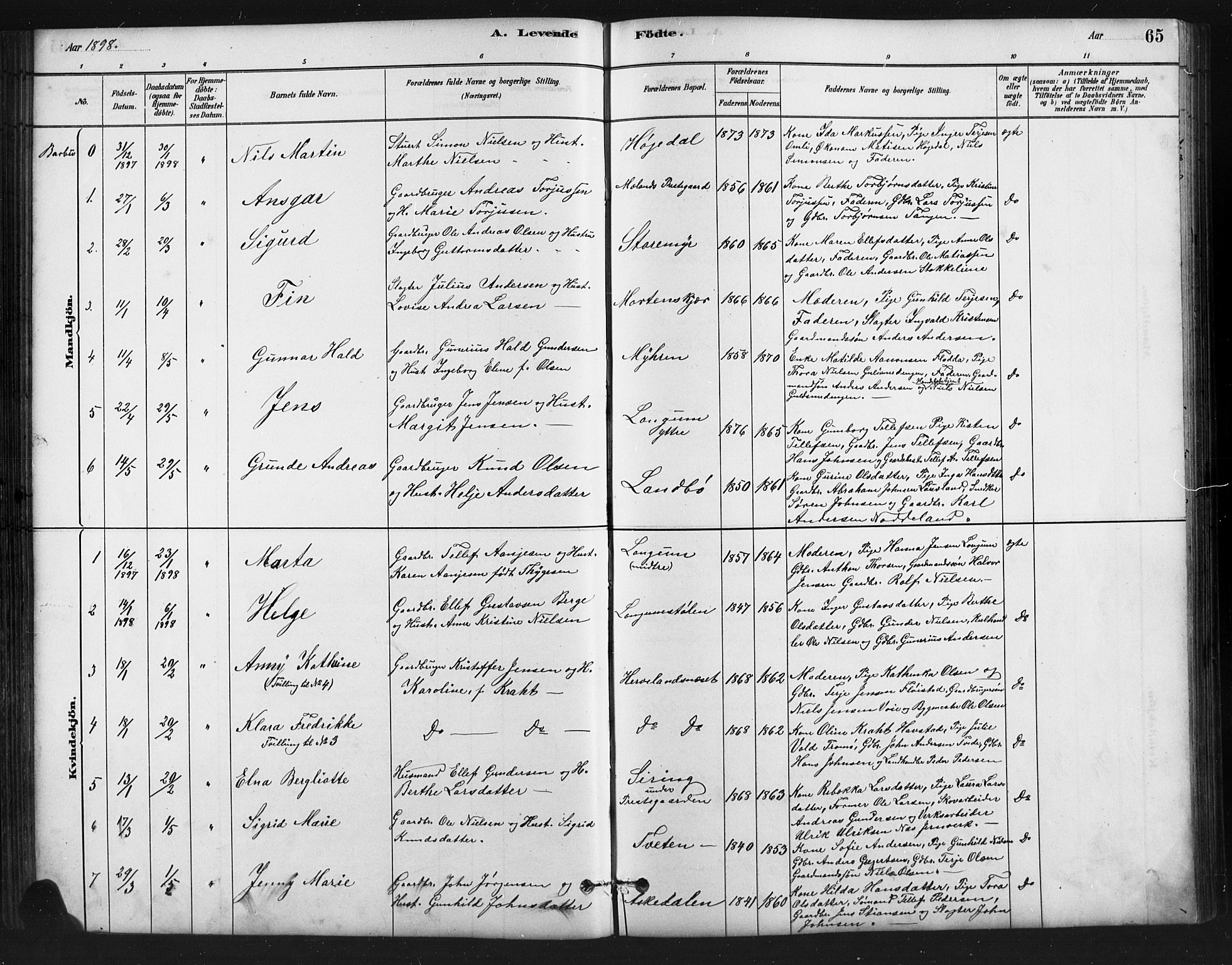 Austre Moland sokneprestkontor, SAK/1111-0001/F/Fb/Fba/L0003: Parish register (copy) no. B 3, 1879-1914, p. 65