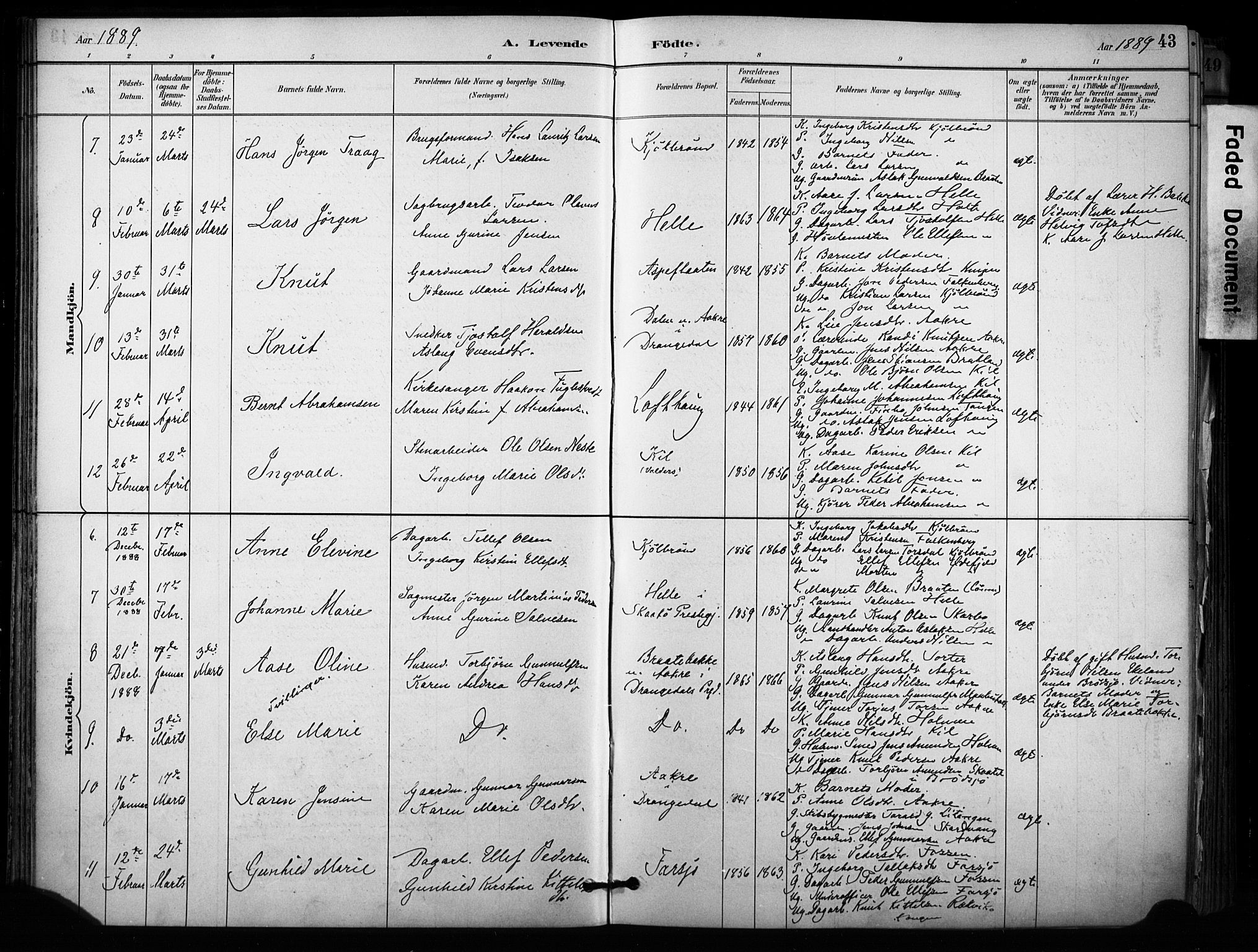 Sannidal kirkebøker, SAKO/A-296/F/Fa/L0015: Parish register (official) no. 15, 1884-1899, p. 43