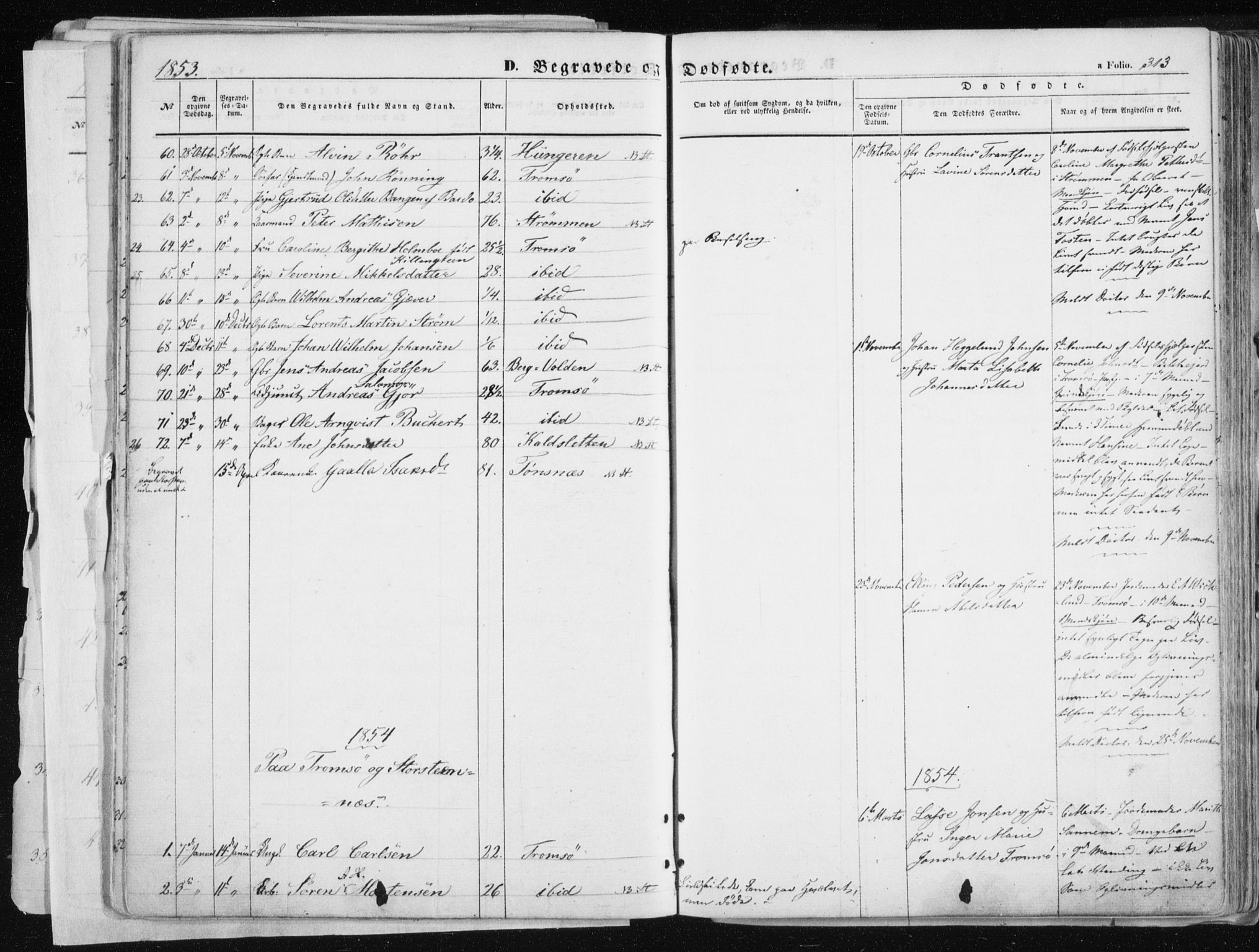 Tromsø sokneprestkontor/stiftsprosti/domprosti, SATØ/S-1343/G/Ga/L0010kirke: Parish register (official) no. 10, 1848-1855, p. 313