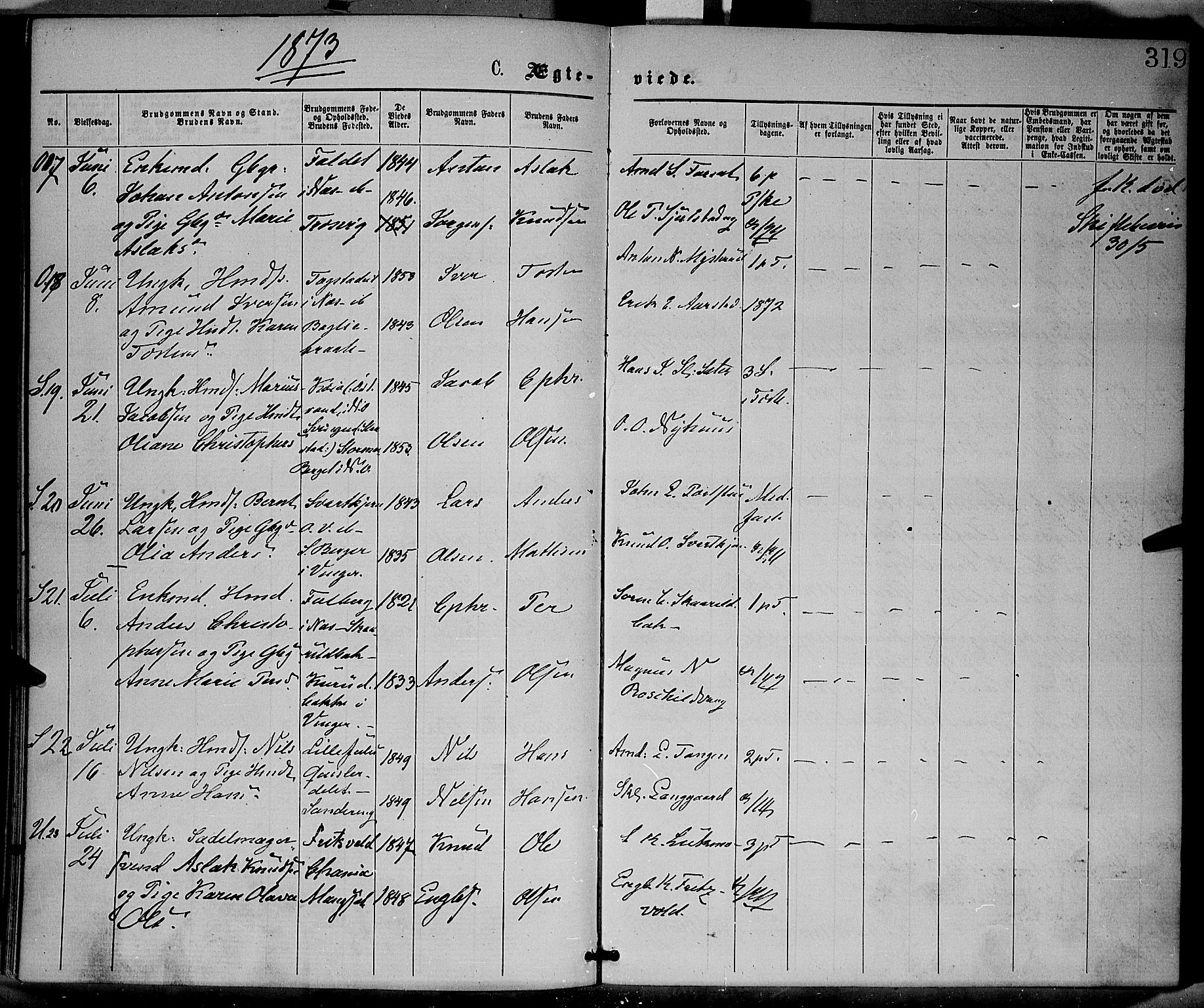 Sør-Odal prestekontor, AV/SAH-PREST-030/H/Ha/Haa/L0004: Parish register (official) no. 4, 1870-1875, p. 319