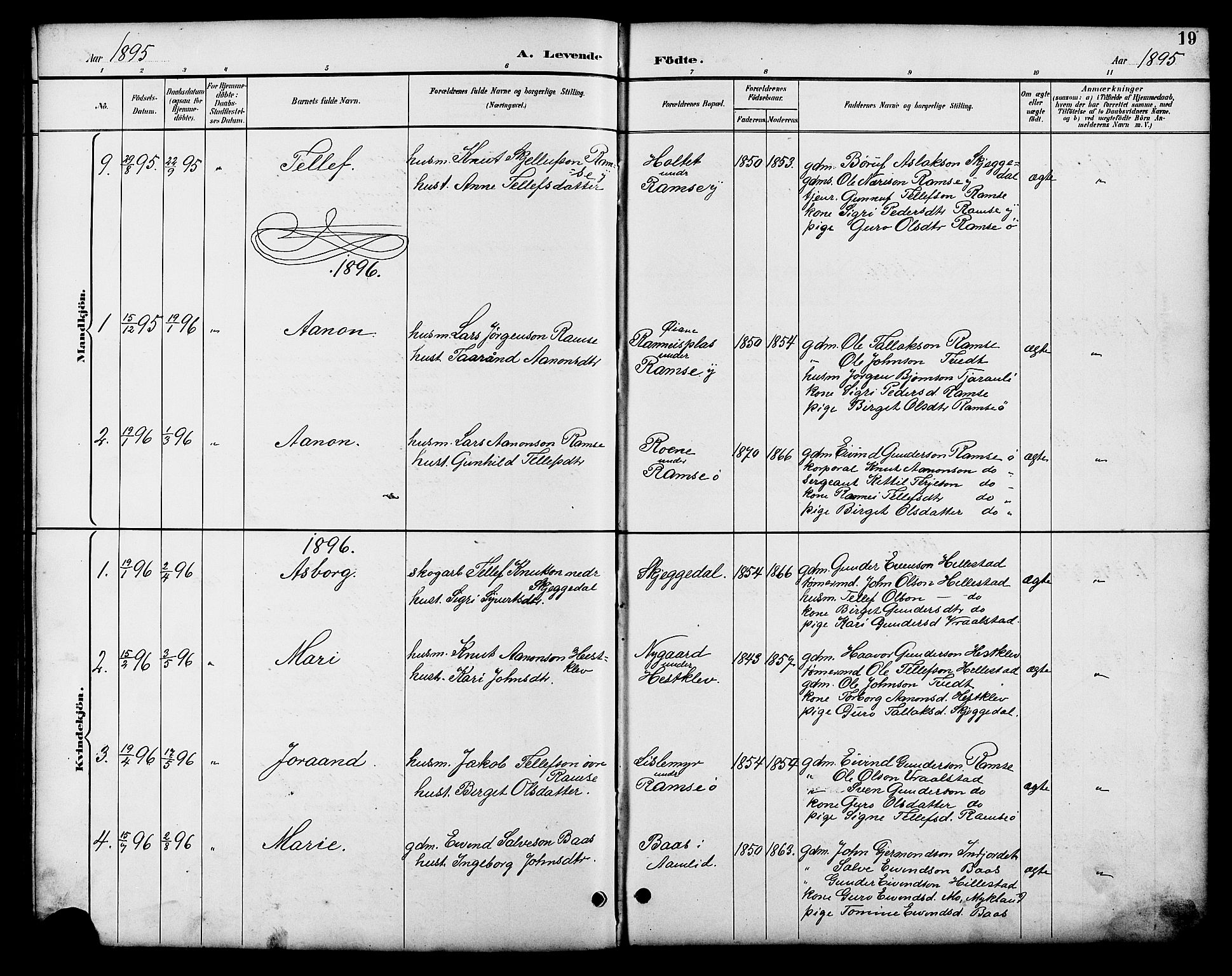 Åmli sokneprestkontor, AV/SAK-1111-0050/F/Fb/Fbb/L0002: Parish register (copy) no. B 2, 1890-1905, p. 19