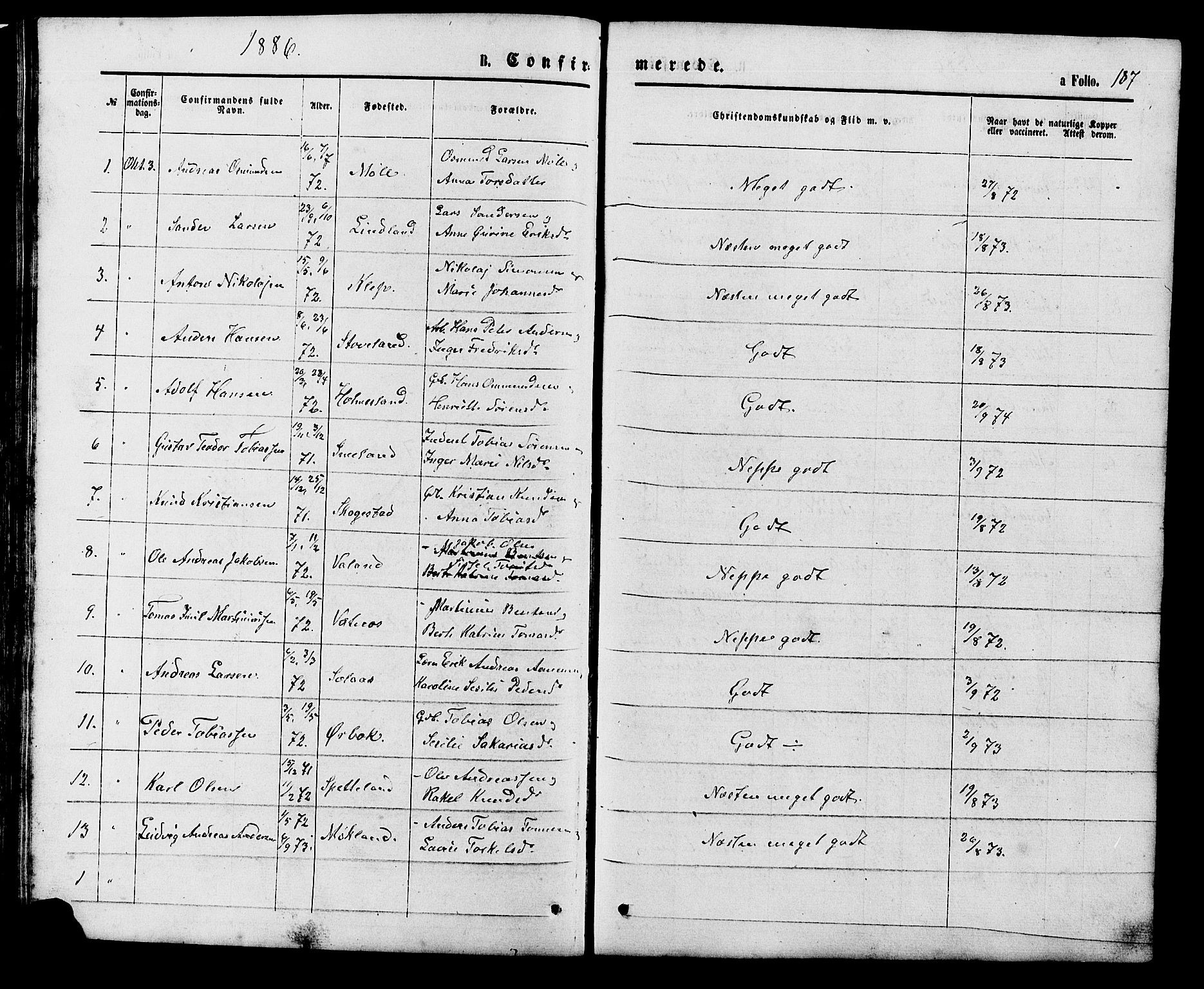 Holum sokneprestkontor, SAK/1111-0022/F/Fb/Fba/L0004: Parish register (copy) no. B 4, 1867-1890, p. 187