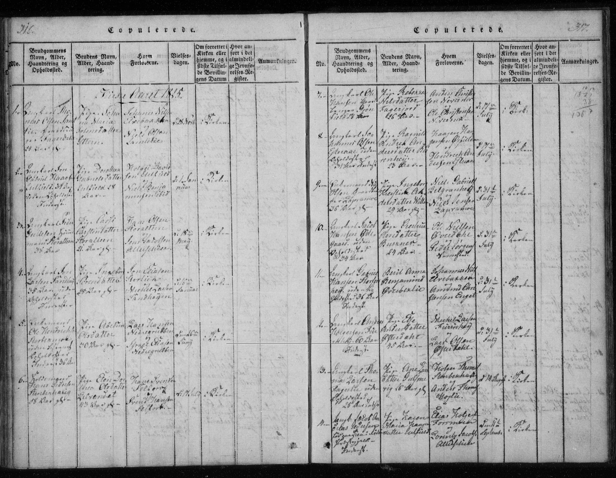 Ministerialprotokoller, klokkerbøker og fødselsregistre - Nordland, AV/SAT-A-1459/825/L0353: Parish register (official) no. 825A07, 1820-1826, p. 316-317