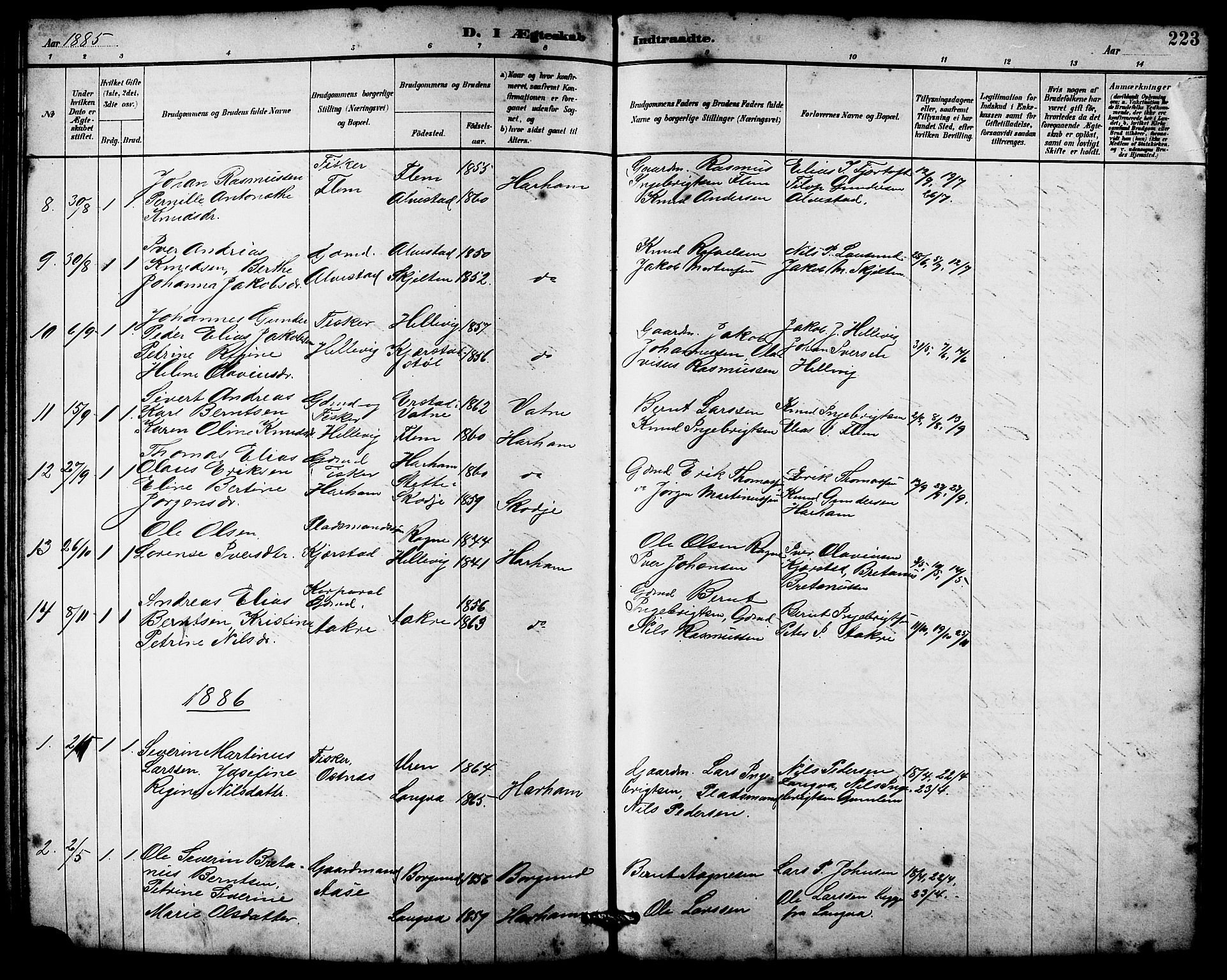 Ministerialprotokoller, klokkerbøker og fødselsregistre - Møre og Romsdal, SAT/A-1454/536/L0510: Parish register (copy) no. 536C05, 1881-1898, p. 223