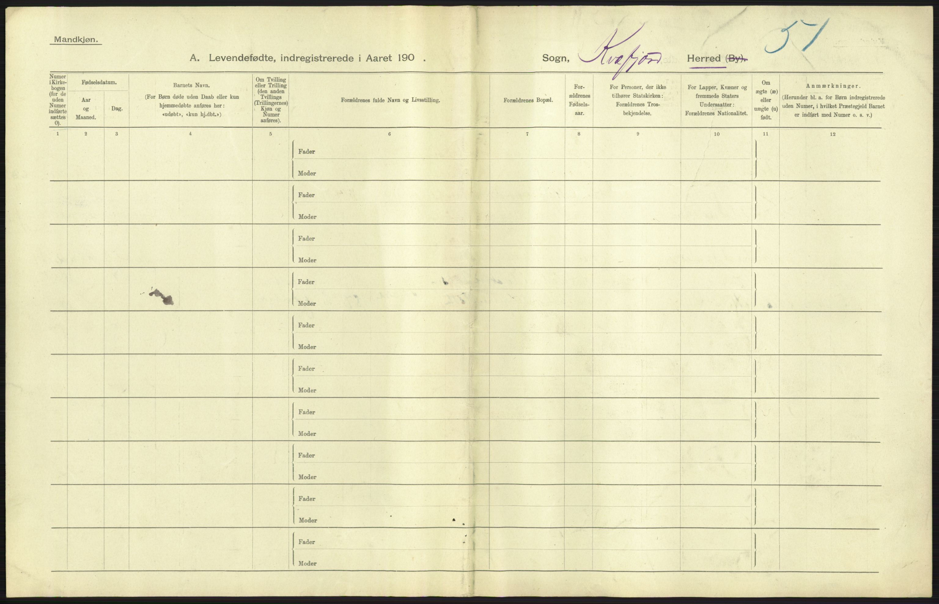 Statistisk sentralbyrå, Sosiodemografiske emner, Befolkning, AV/RA-S-2228/D/Df/Dfa/Dfab/L0022: Tromsø amt: Fødte, gifte, døde, 1904, p. 15