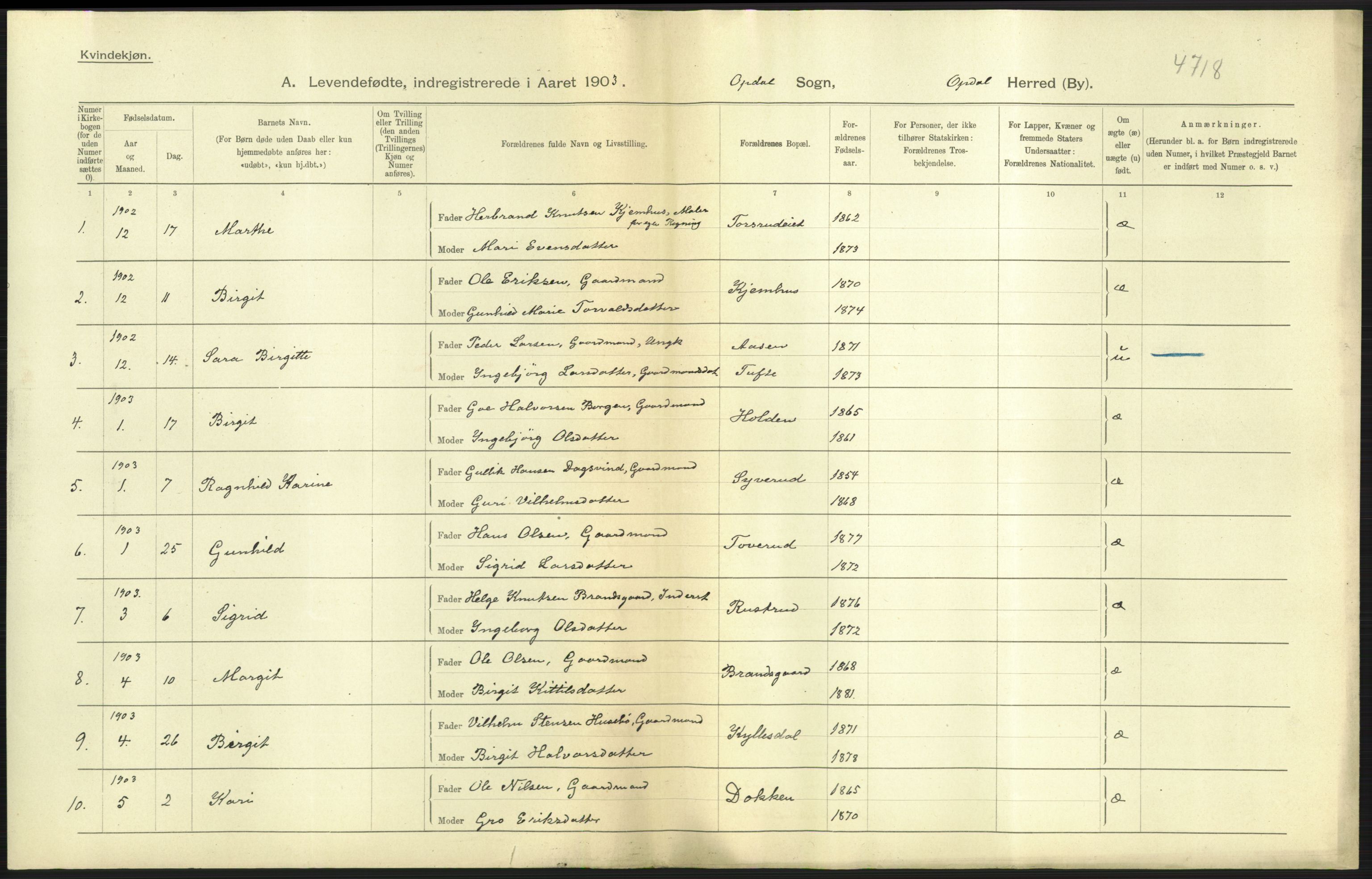 Statistisk sentralbyrå, Sosiodemografiske emner, Befolkning, AV/RA-S-2228/D/Df/Dfa/Dfaa/L0007: Buskeruds amt: Fødte, gifte, døde, 1903, p. 5