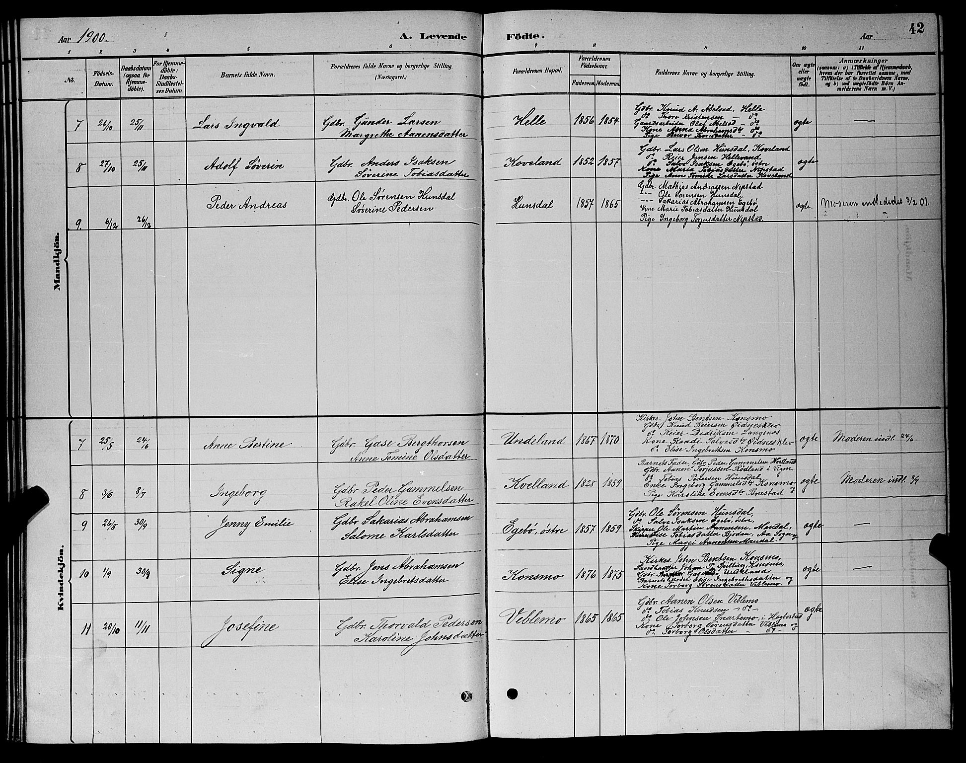 Nord-Audnedal sokneprestkontor, AV/SAK-1111-0032/F/Fb/Fba/L0003: Parish register (copy) no. B 3, 1881-1900, p. 42