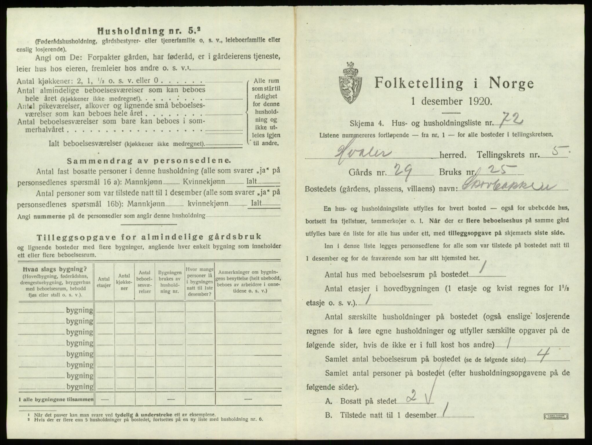 SAO, 1920 census for Hvaler, 1920, p. 982