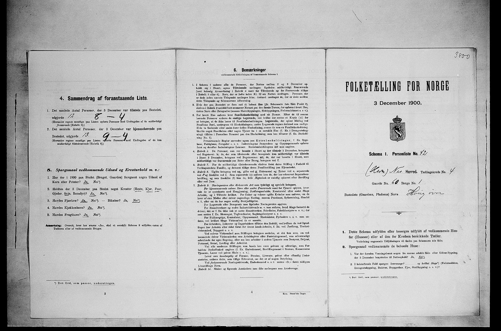 SAH, 1900 census for Nes, 1900, p. 632