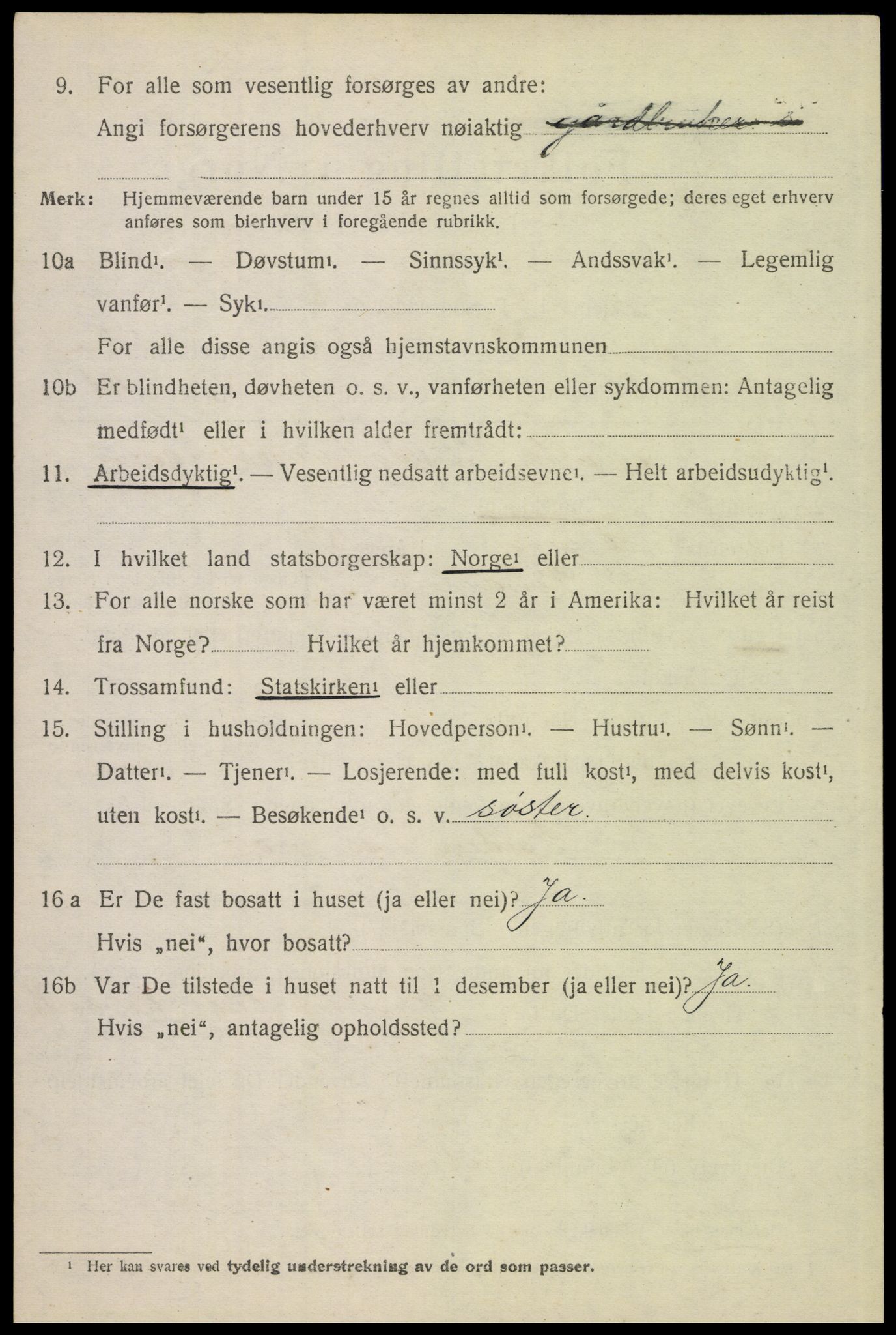 SAH, 1920 census for Tynset, 1920, p. 2905