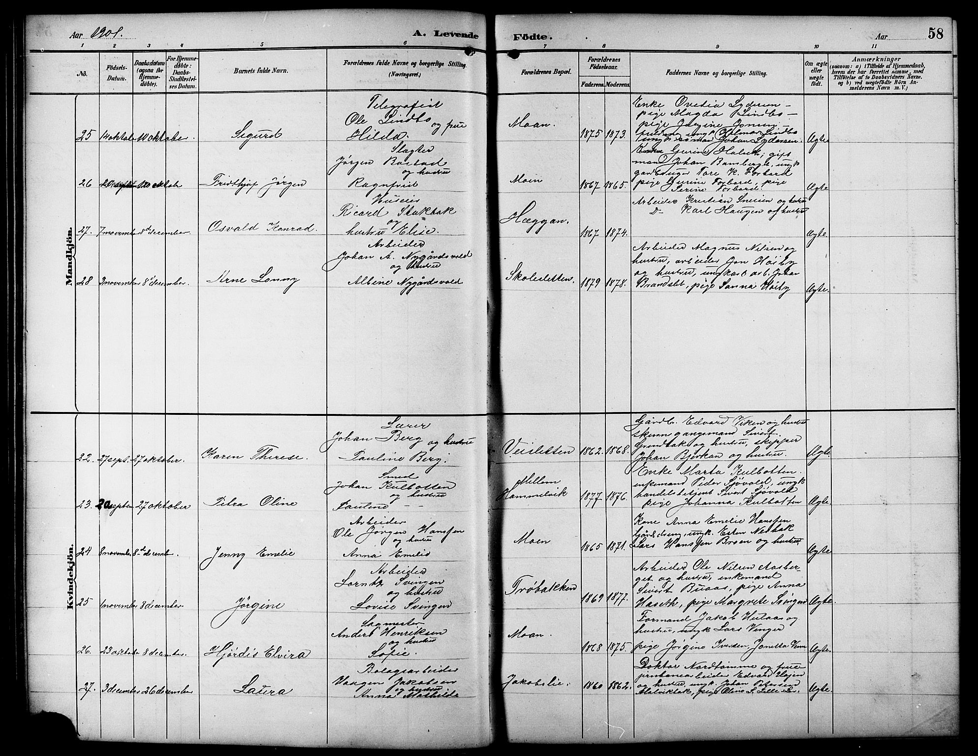 Ministerialprotokoller, klokkerbøker og fødselsregistre - Sør-Trøndelag, SAT/A-1456/617/L0431: Parish register (copy) no. 617C01, 1889-1910, p. 58