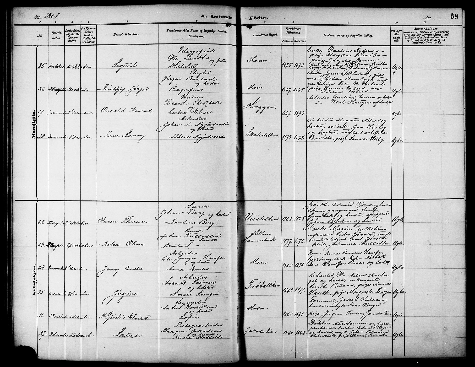 Ministerialprotokoller, klokkerbøker og fødselsregistre - Sør-Trøndelag, AV/SAT-A-1456/617/L0431: Parish register (copy) no. 617C01, 1889-1910, p. 58