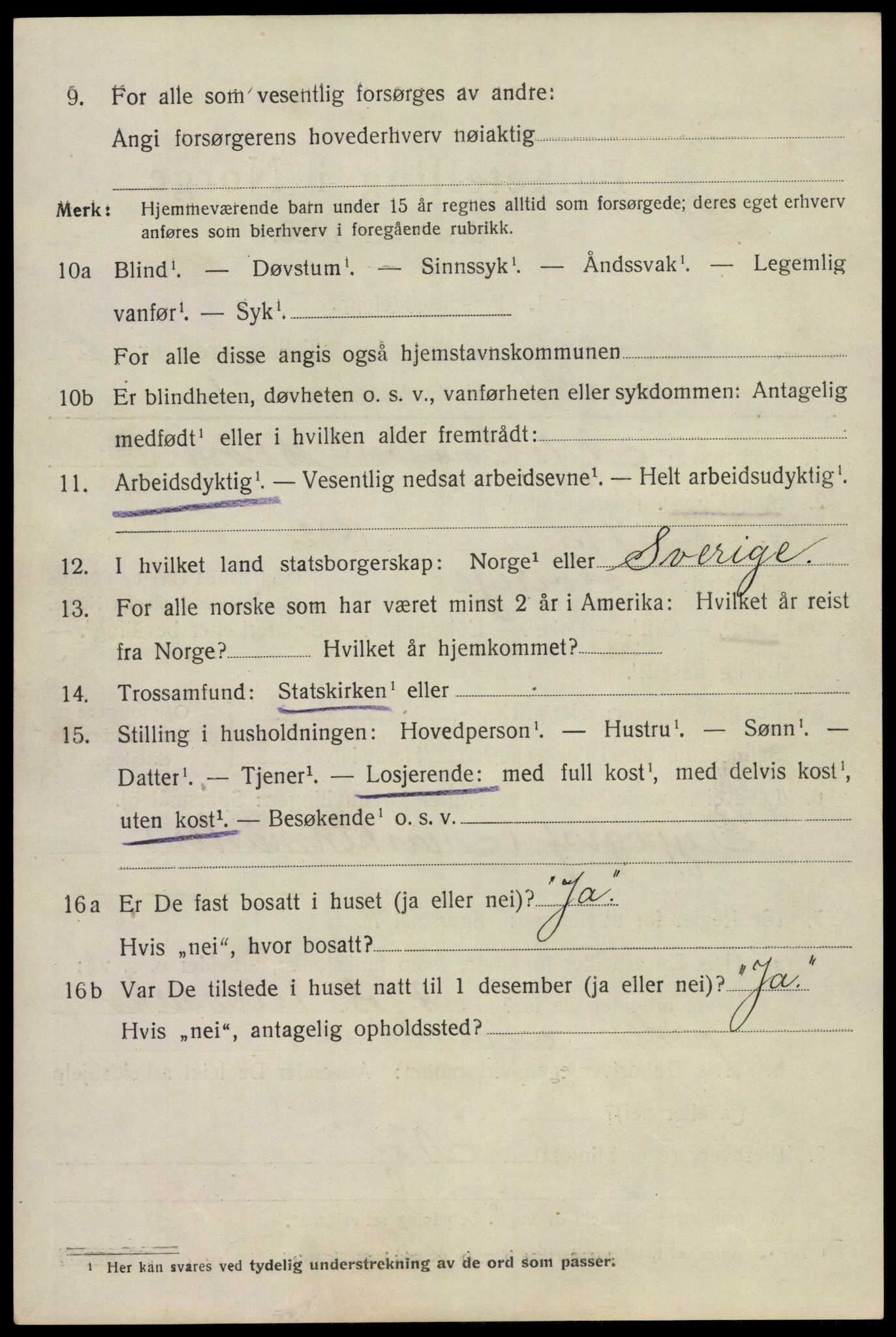 SAKO, 1920 census for Notodden, 1920, p. 6917