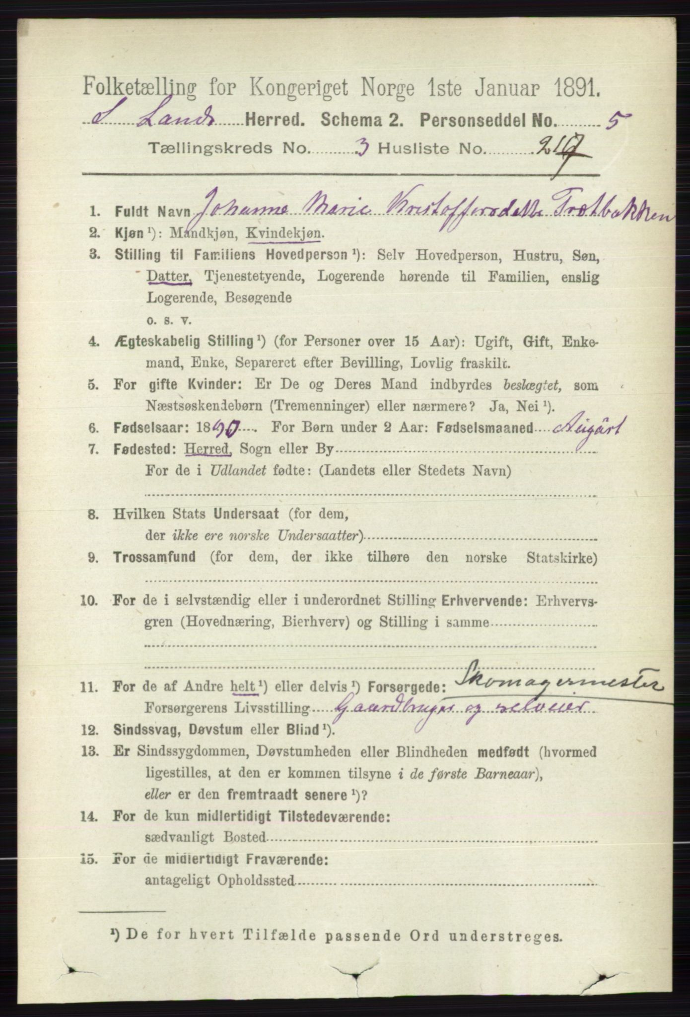 RA, 1891 census for 0536 Søndre Land, 1891, p. 3810