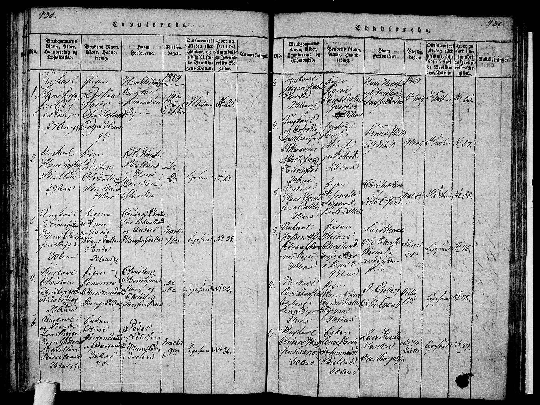 Sem kirkebøker, SAKO/A-5/F/Fa/L0004: Parish register (official) no. I 4, 1814-1825, p. 430-431