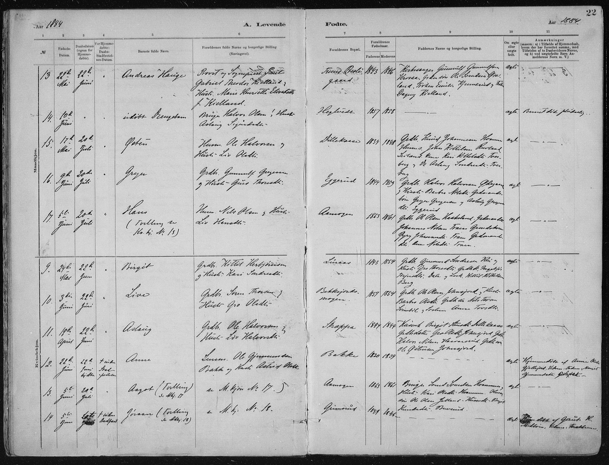 Tinn kirkebøker, AV/SAKO-A-308/F/Fa/L0007: Parish register (official) no. I 7, 1878-1922, p. 22