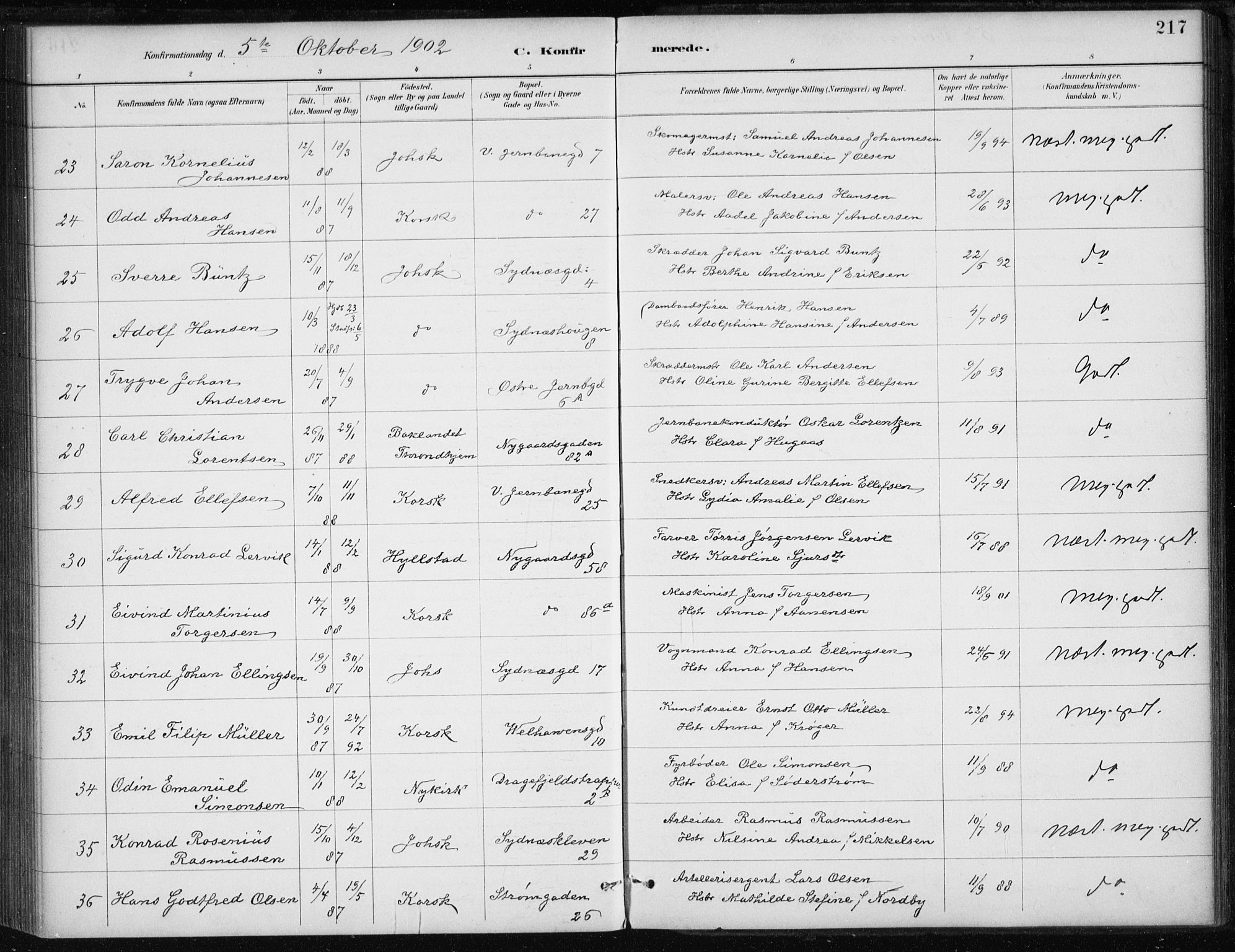 Johanneskirken sokneprestembete, SAB/A-76001/H/Haa/L0008: Parish register (official) no. C 1, 1885-1907, p. 217