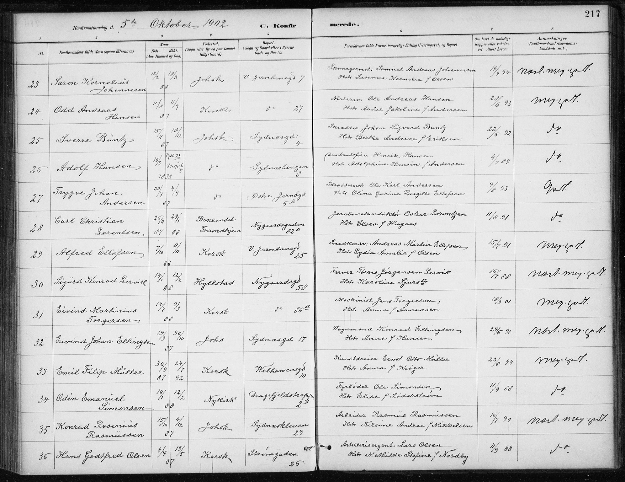 Johanneskirken sokneprestembete, AV/SAB-A-76001/H/Haa/L0008: Parish register (official) no. C 1, 1885-1907, p. 217