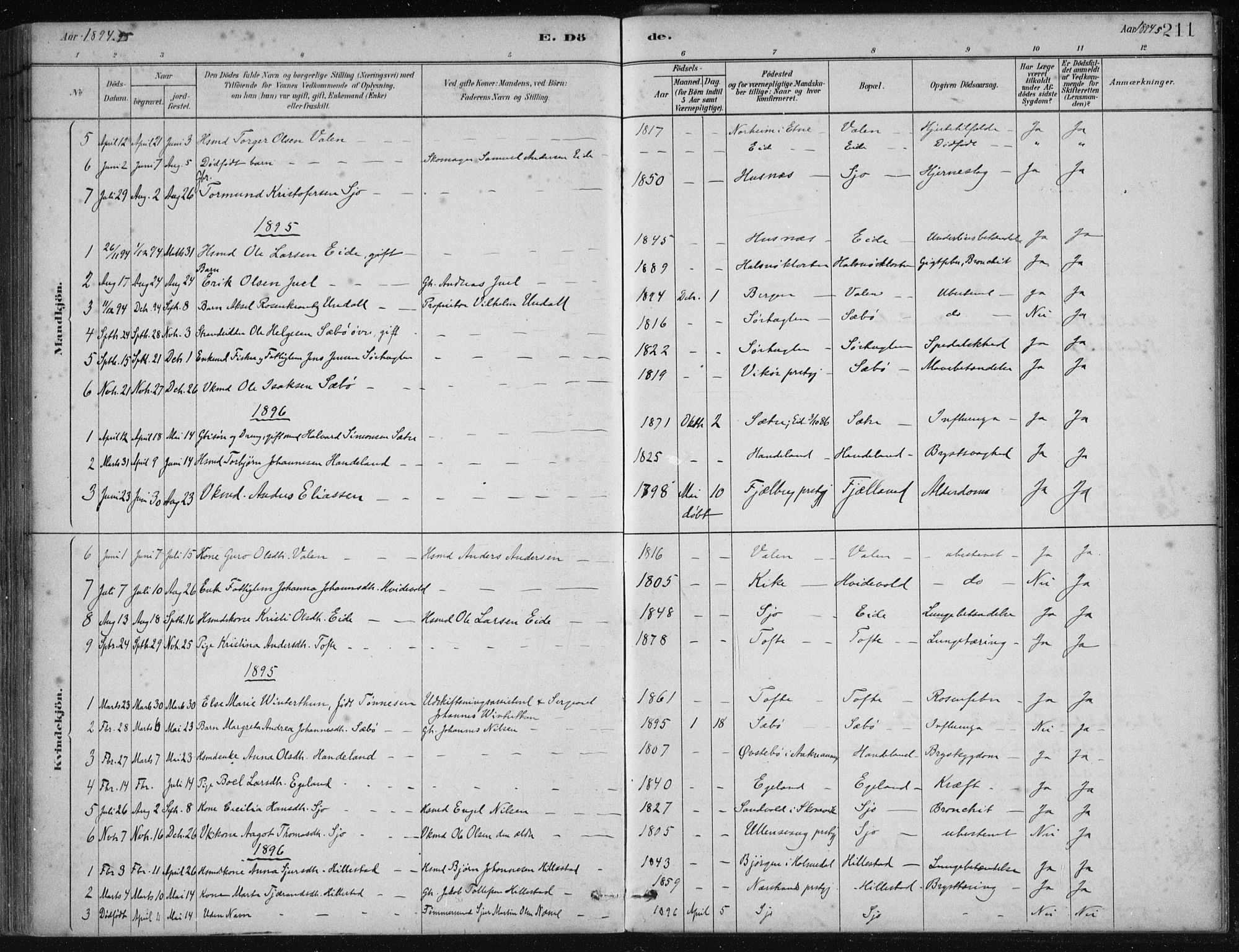 Fjelberg sokneprestembete, SAB/A-75201/H/Haa: Parish register (official) no. C  1, 1879-1918, p. 211