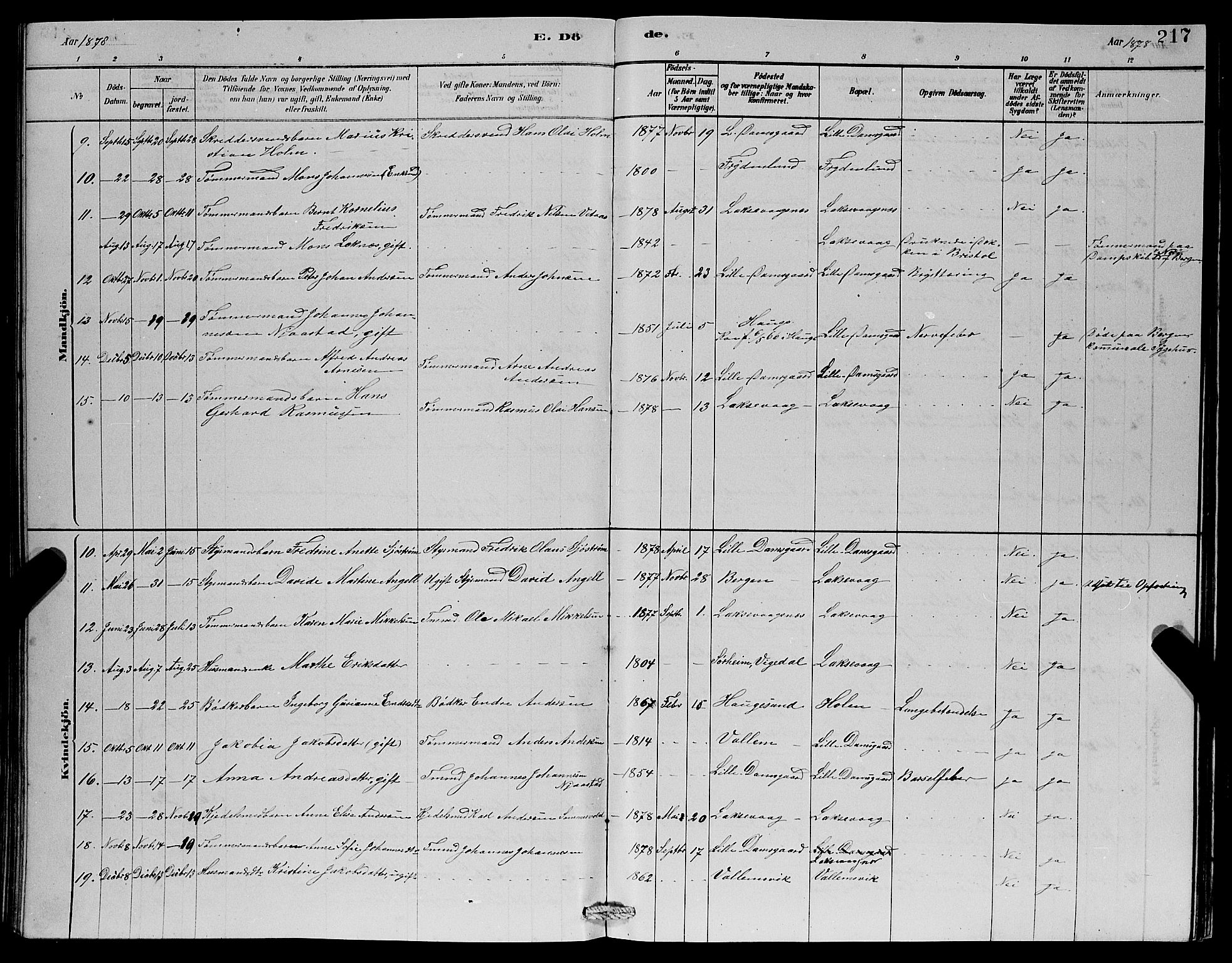 Laksevåg Sokneprestembete, SAB/A-76501/H/Ha/Hab/Haba/L0002: Parish register (copy) no. A 2, 1877-1887, p. 217