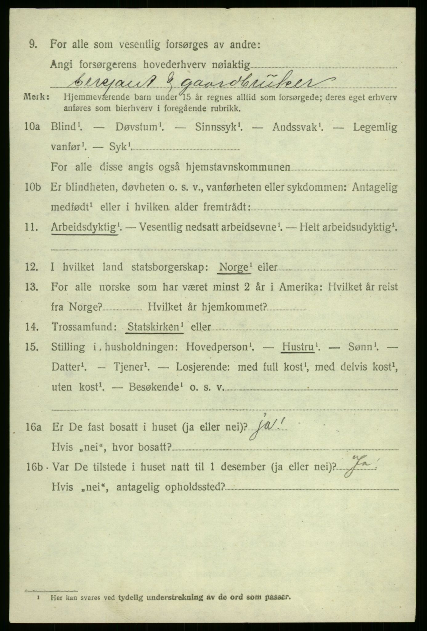 SAB, 1920 census for Årdal, 1920, p. 2982