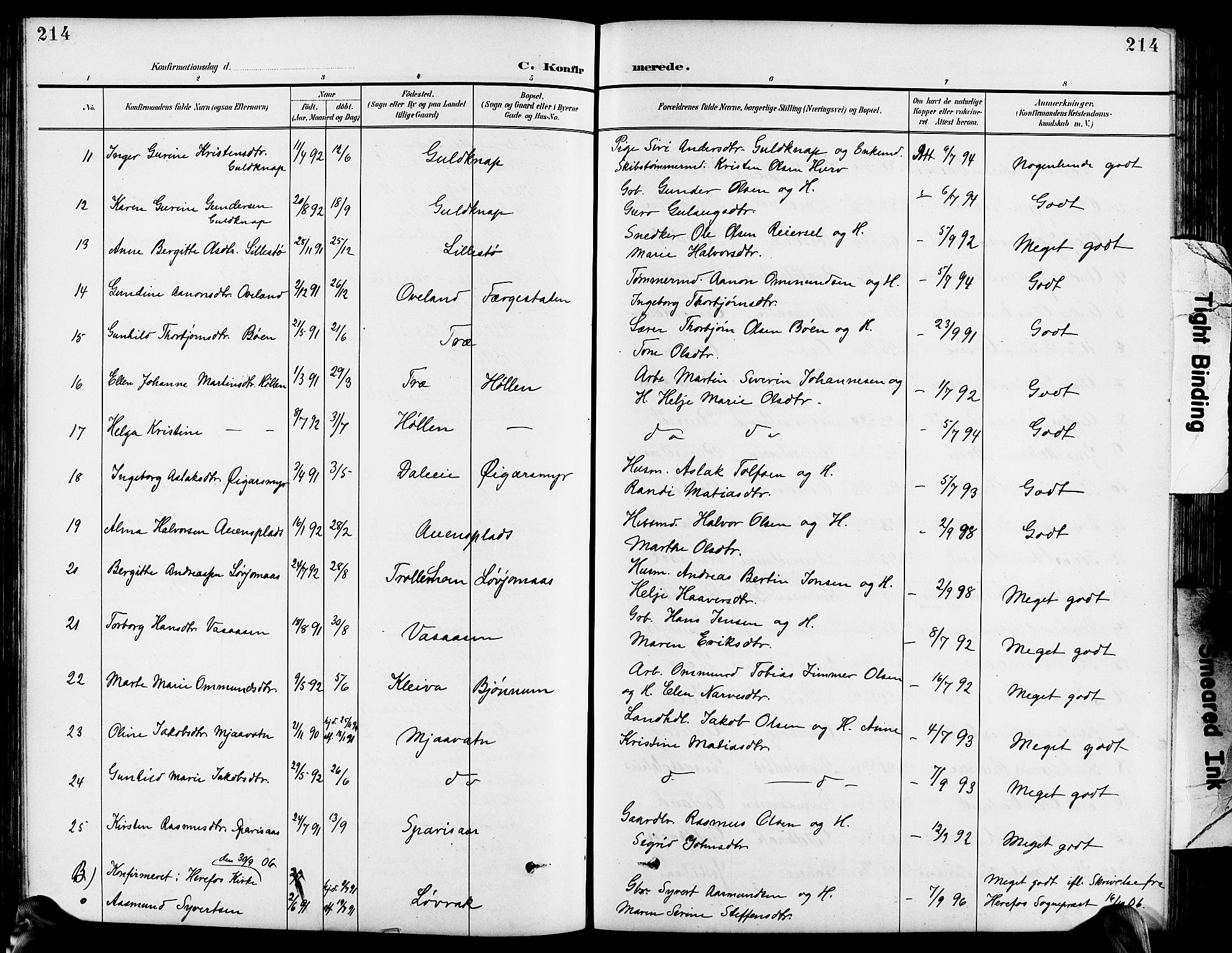 Froland sokneprestkontor, SAK/1111-0013/F/Fb/L0010: Parish register (copy) no. B 10, 1893-1920, p. 214