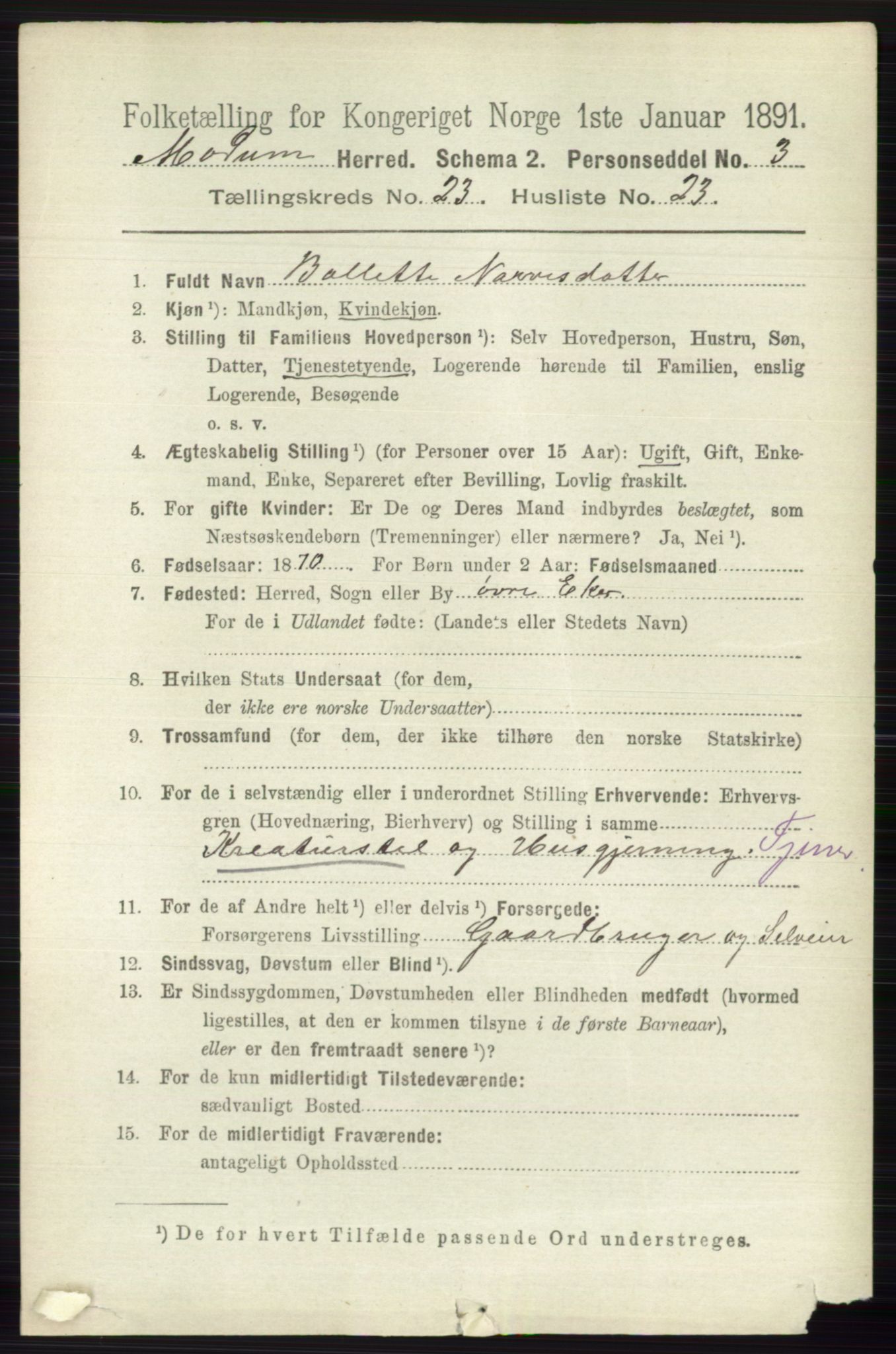 RA, 1891 census for 0623 Modum, 1891, p. 8814