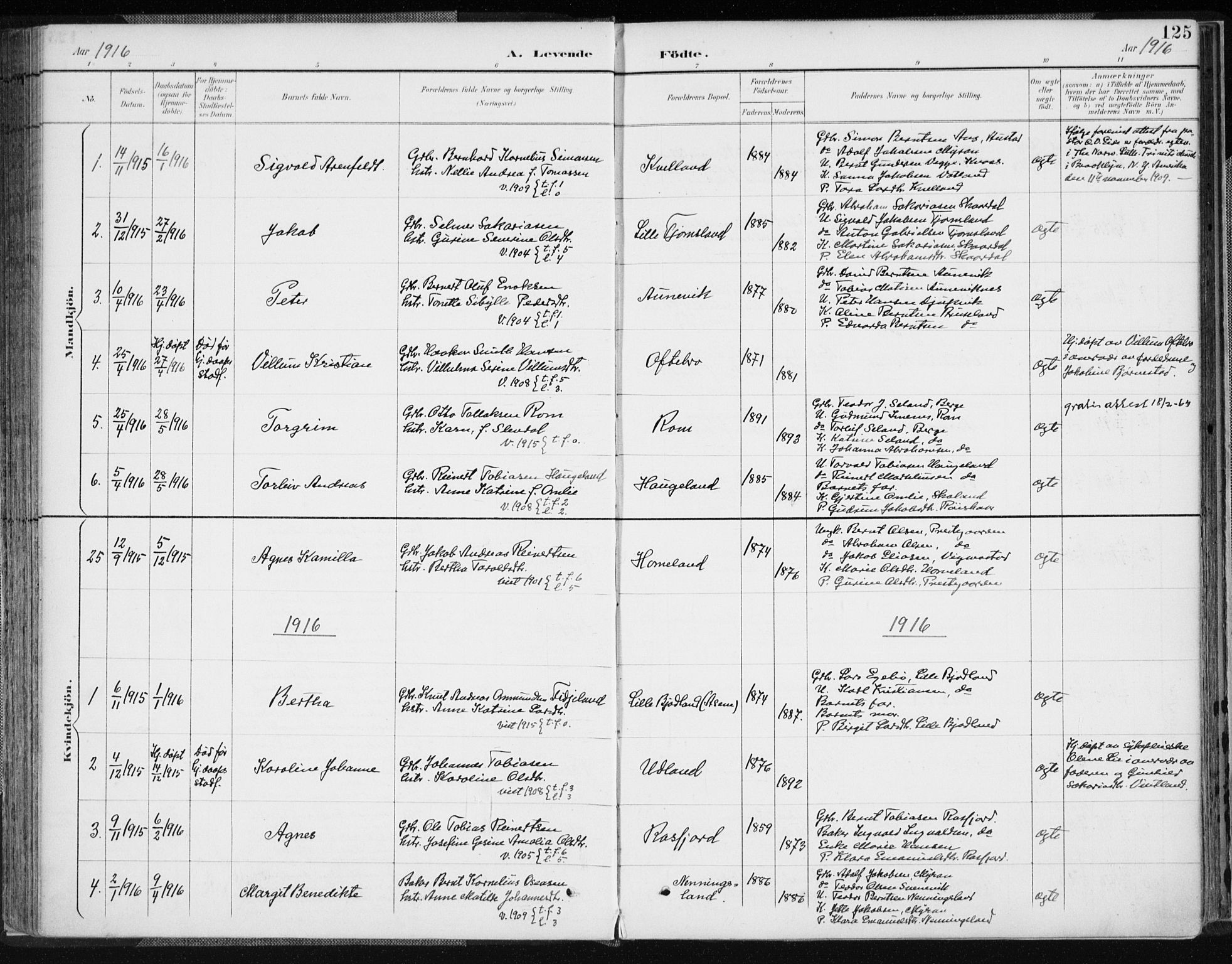 Lyngdal sokneprestkontor, AV/SAK-1111-0029/F/Fa/Fac/L0012: Parish register (official) no. A 12, 1894-1918, p. 125