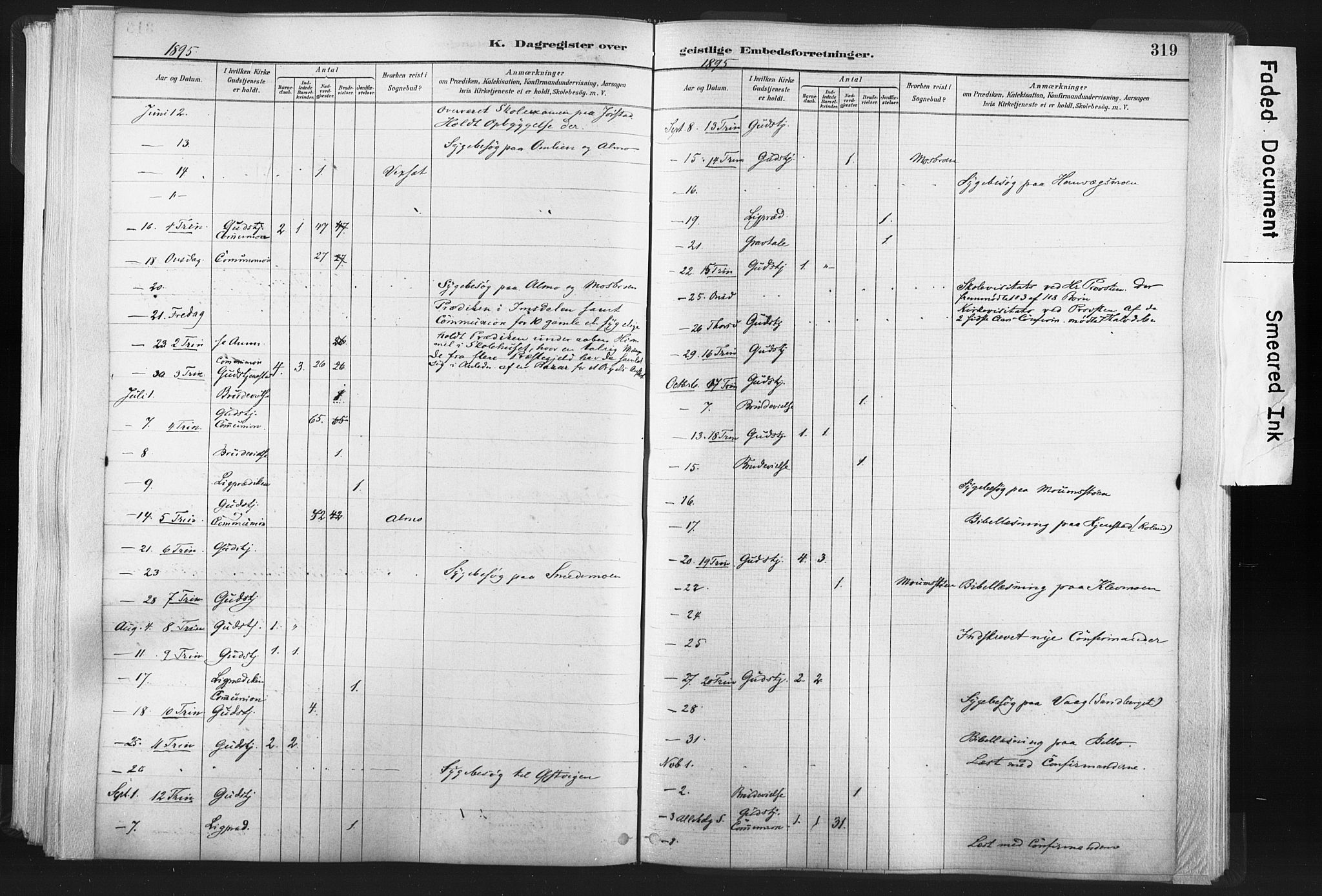 Ministerialprotokoller, klokkerbøker og fødselsregistre - Nord-Trøndelag, AV/SAT-A-1458/749/L0474: Parish register (official) no. 749A08, 1887-1903, p. 319