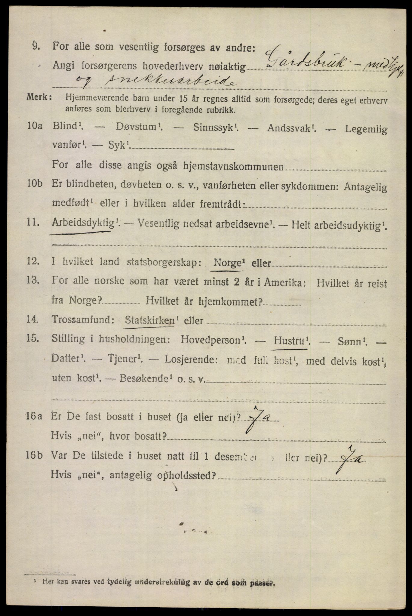 SAKO, 1920 census for Hemsedal, 1920, p. 2953