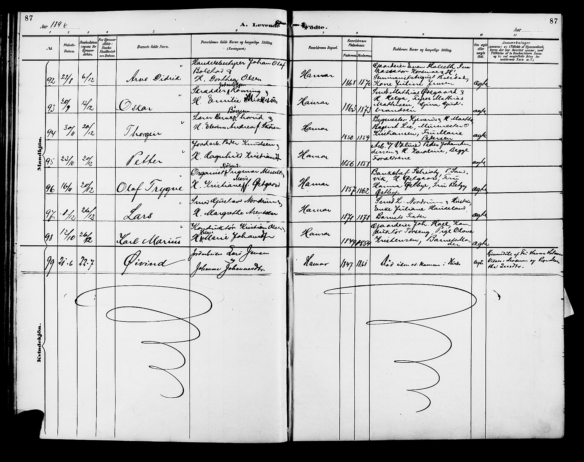 Vang prestekontor, Hedmark, SAH/PREST-008/H/Ha/Hab/L0013: Parish register (copy) no. 13, 1890-1899, p. 87