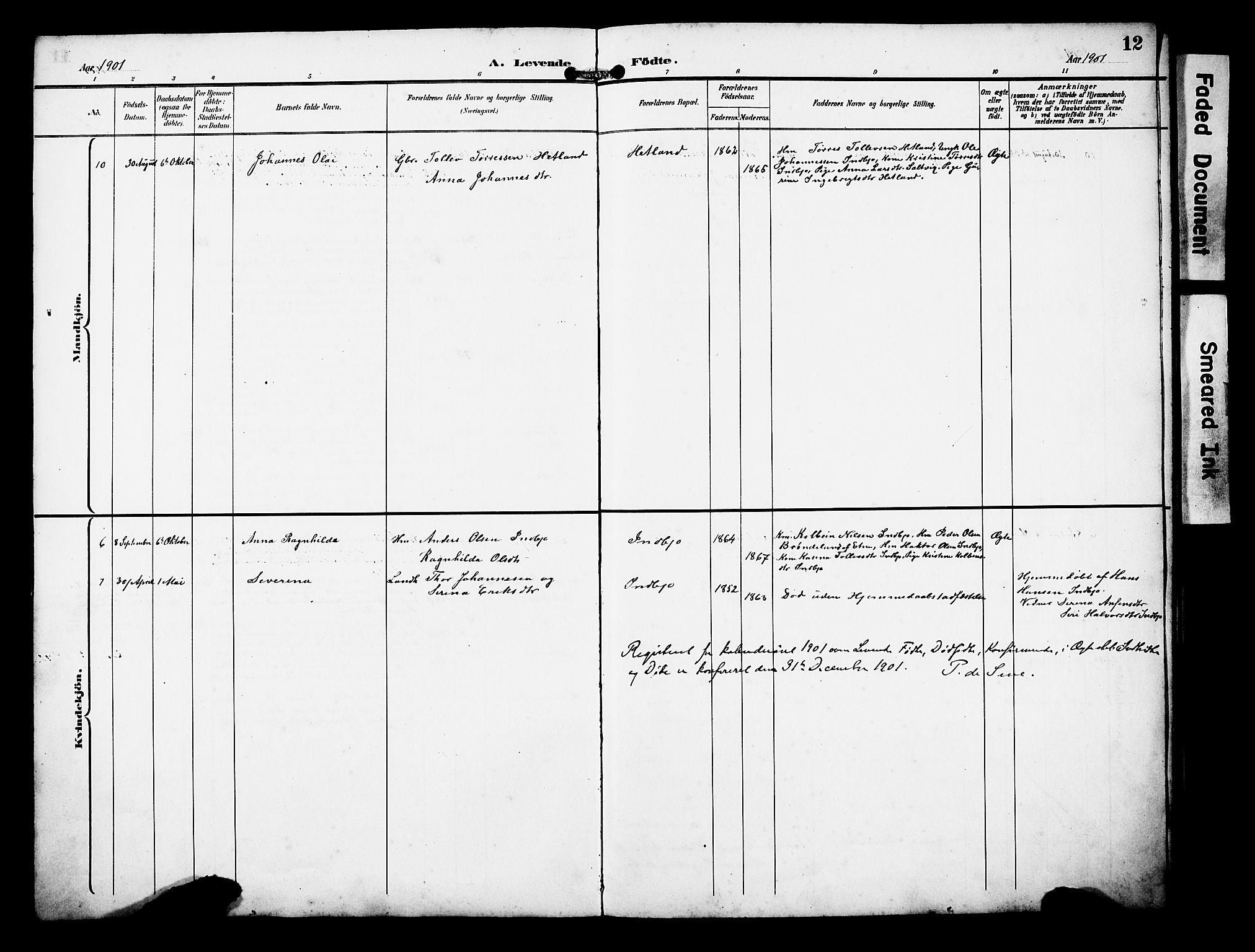 Ølen Sokneprestembete, AV/SAB-A-79201/H/Hab: Parish register (copy) no. B 1, 1895-1930, p. 12