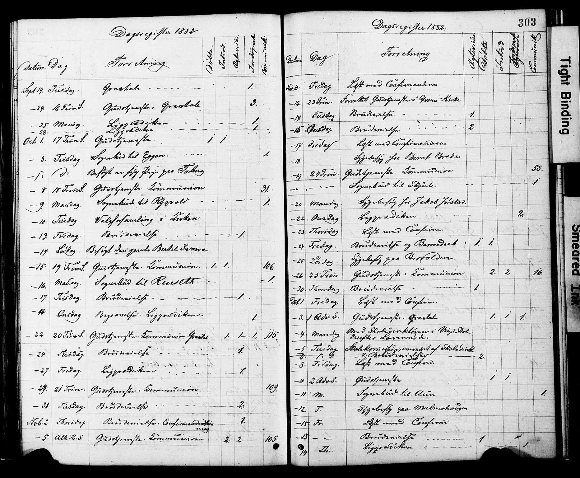 Ministerialprotokoller, klokkerbøker og fødselsregistre - Nord-Trøndelag, SAT/A-1458/749/L0473: Parish register (official) no. 749A07, 1873-1887, p. 303