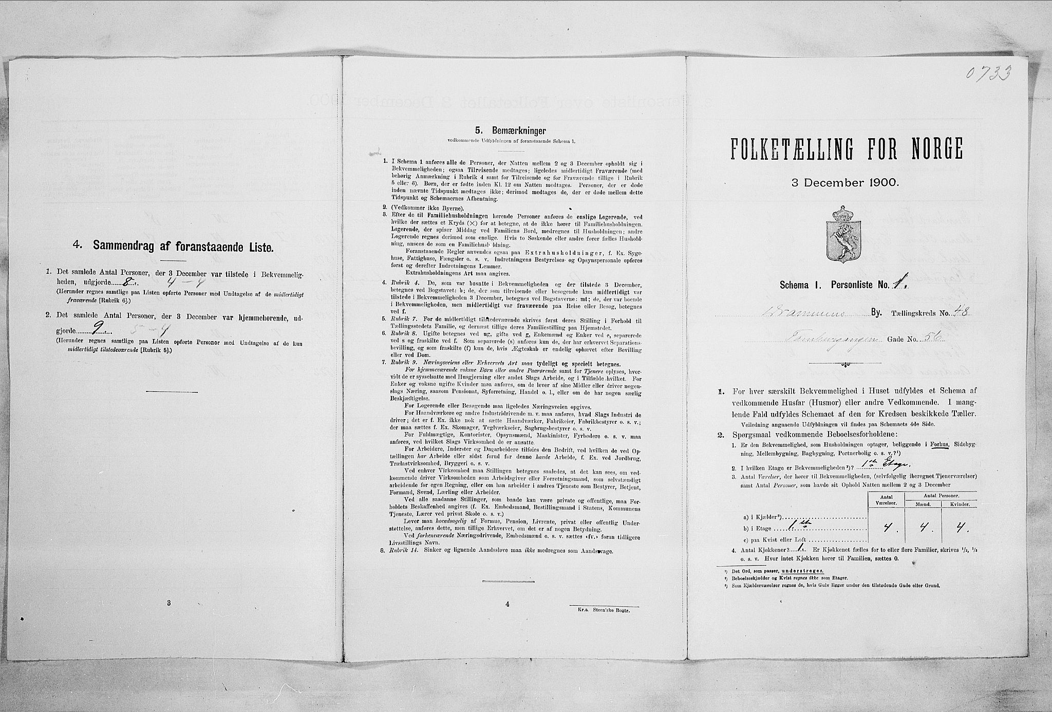 RA, 1900 census for Drammen, 1900, p. 8362