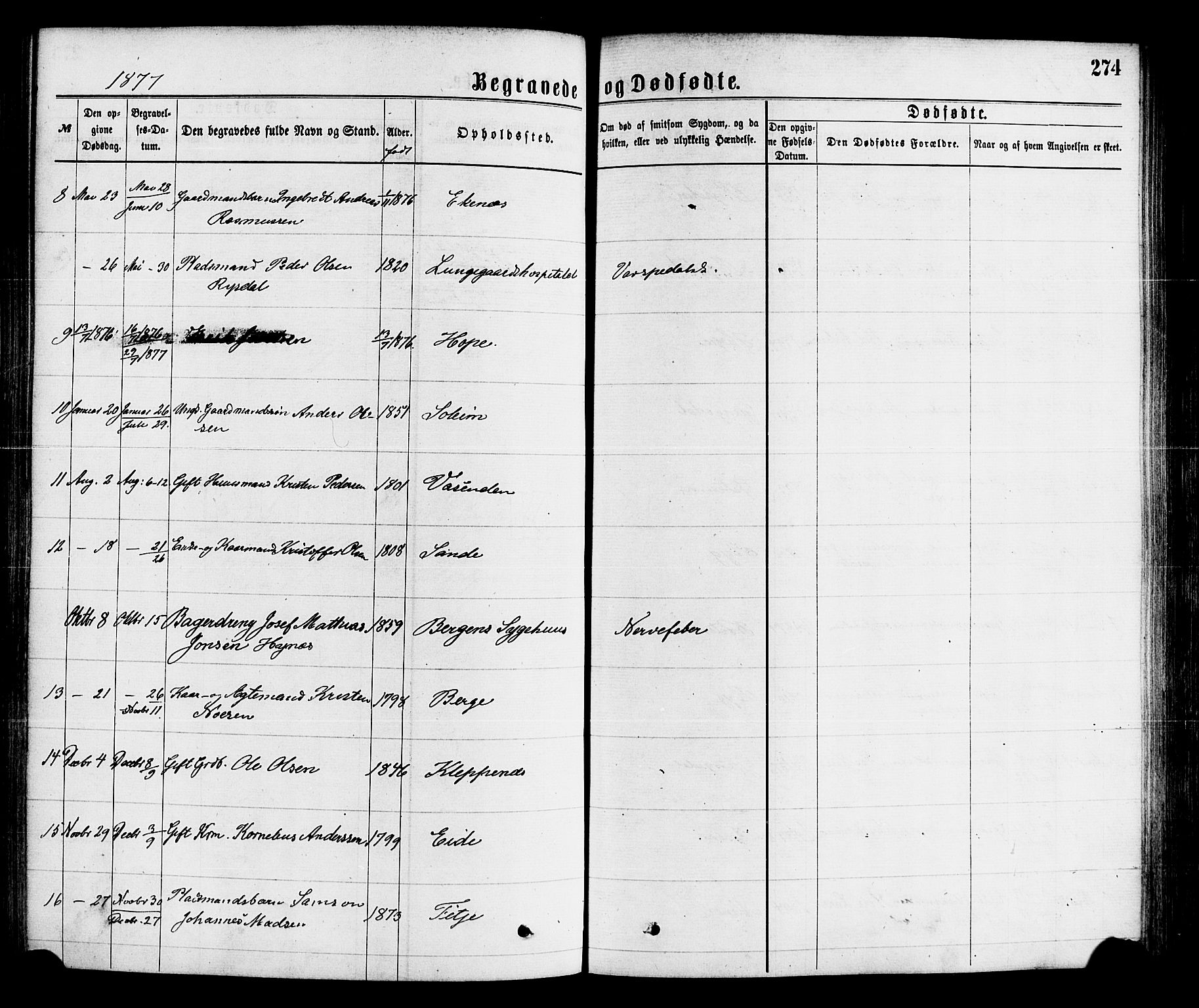 Gloppen sokneprestembete, SAB/A-80101/H/Haa/Haaa/L0010: Parish register (official) no. A 10, 1871-1884, p. 274