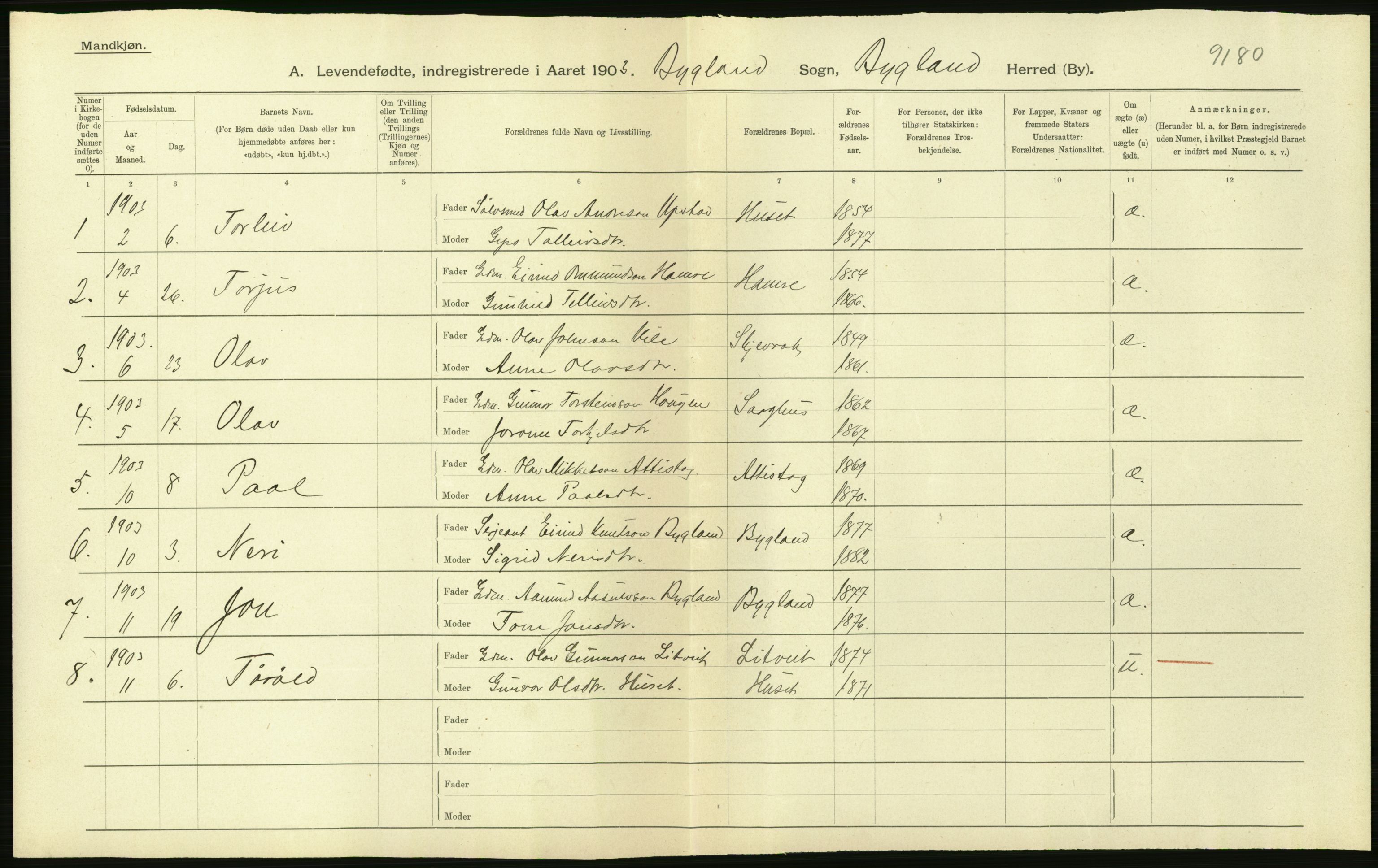 Statistisk sentralbyrå, Sosiodemografiske emner, Befolkning, AV/RA-S-2228/D/Df/Dfa/Dfaa/L0010: Nedenes amt: Fødte, gifte, døde, 1903, p. 84