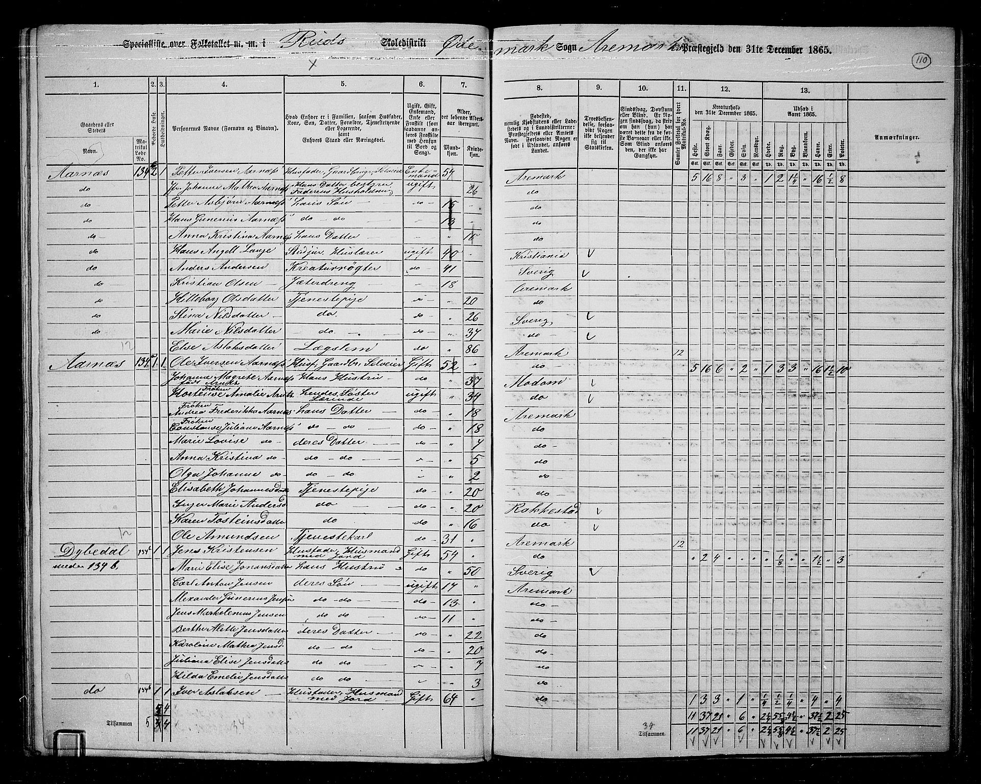 RA, 1865 census for Aremark, 1865, p. 98