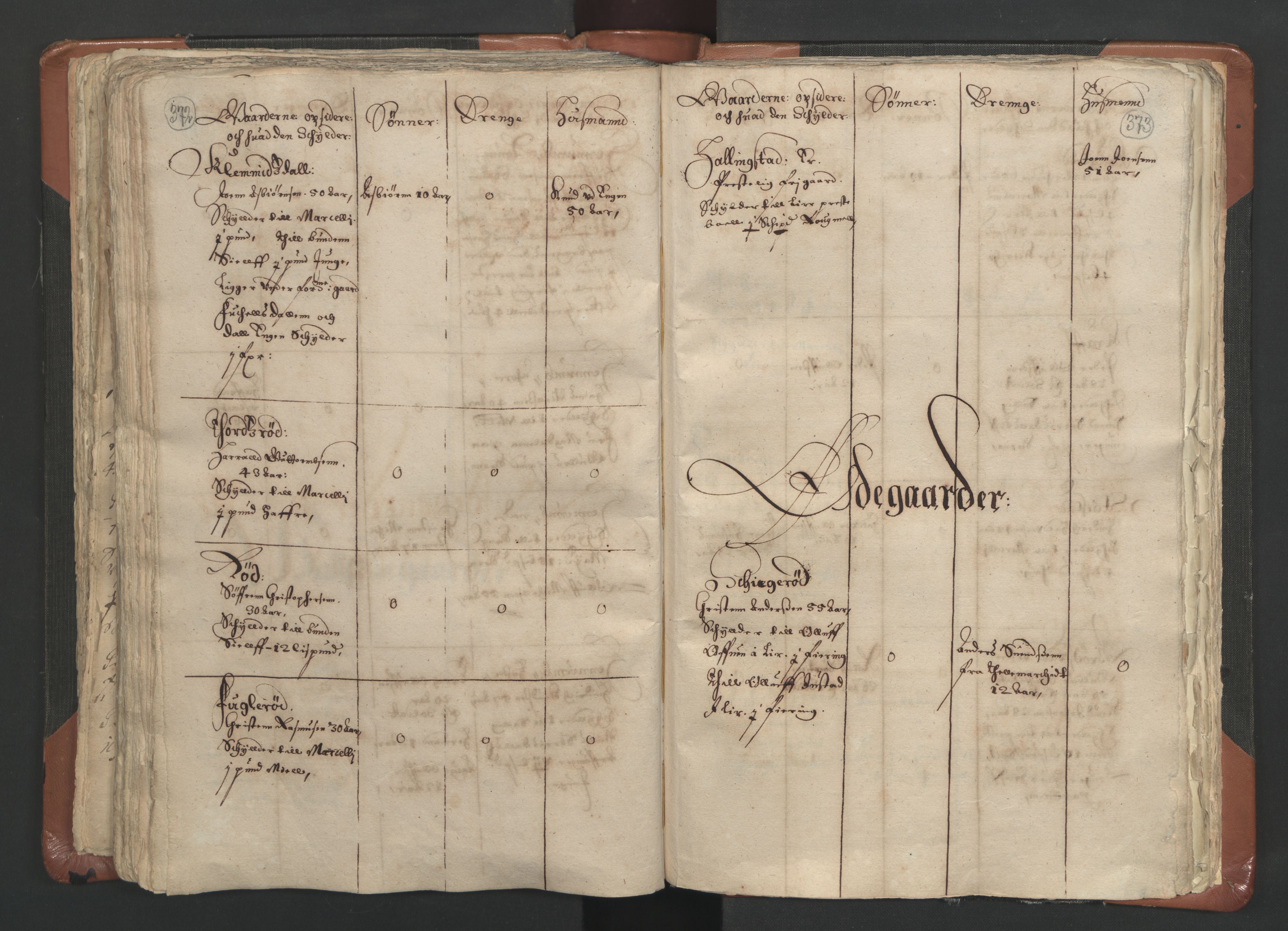 RA, Vicar's Census 1664-1666, no. 9: Bragernes deanery, 1664-1666, p. 372-373