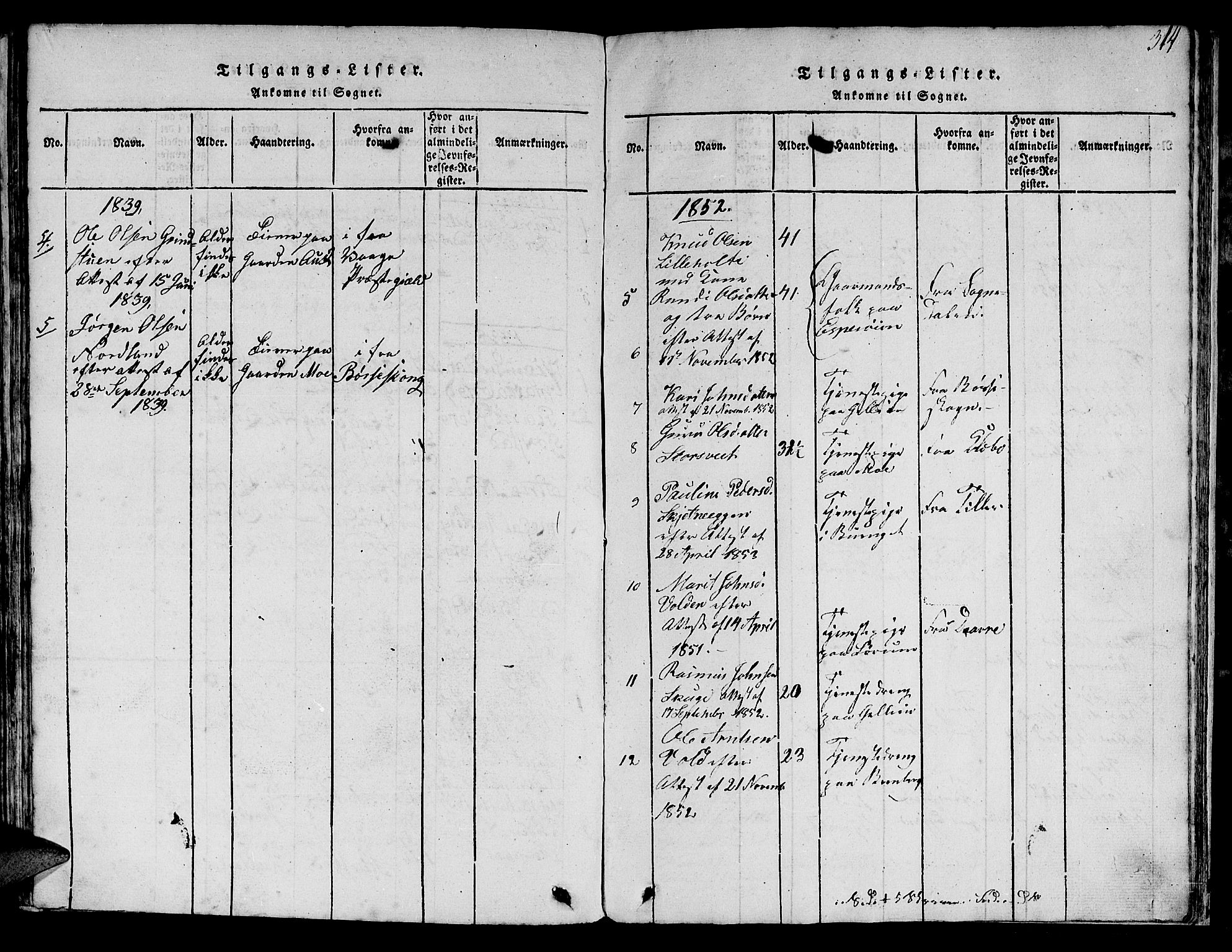 Ministerialprotokoller, klokkerbøker og fødselsregistre - Sør-Trøndelag, SAT/A-1456/613/L0393: Parish register (copy) no. 613C01, 1816-1886, p. 314
