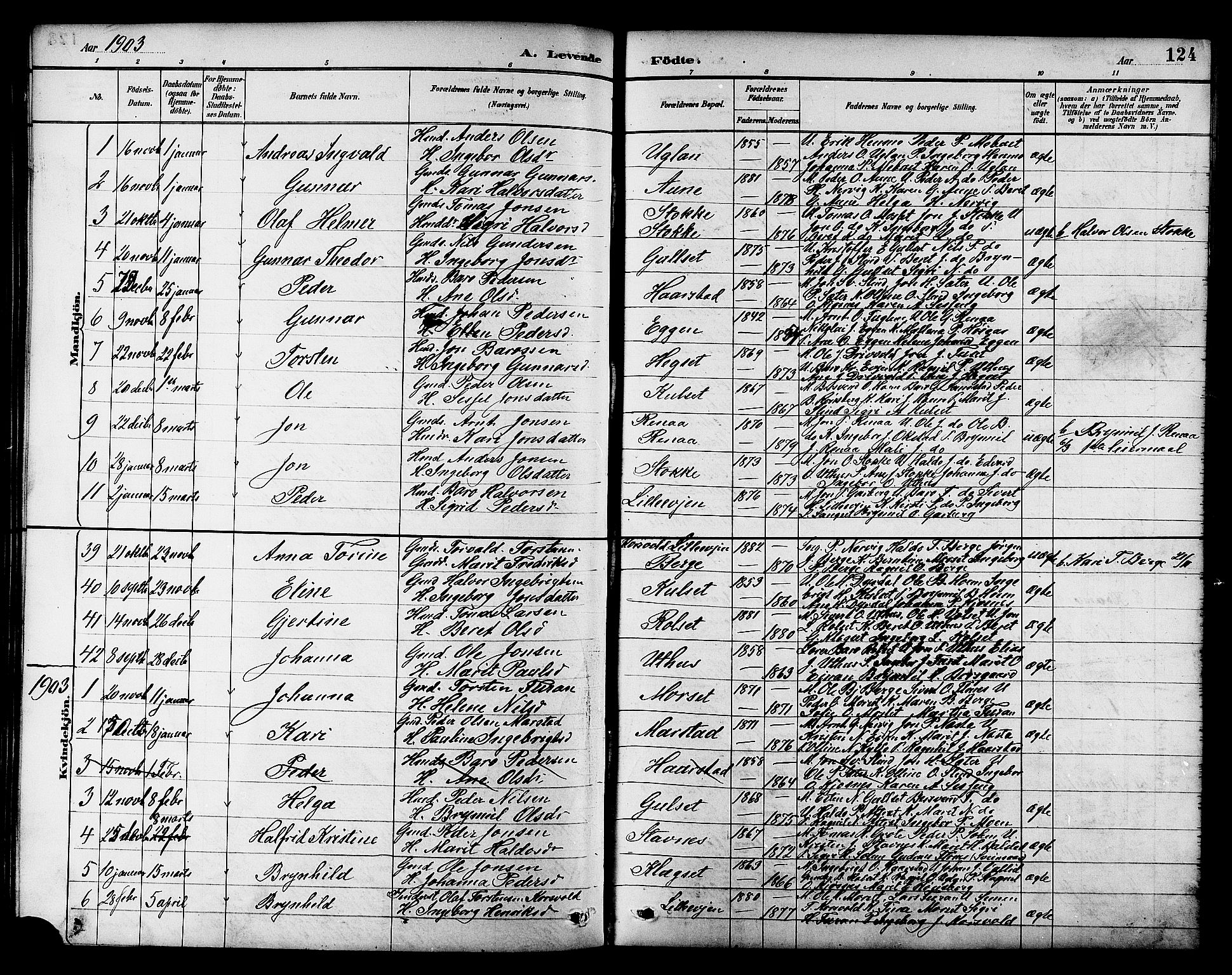 Ministerialprotokoller, klokkerbøker og fødselsregistre - Sør-Trøndelag, SAT/A-1456/695/L1157: Parish register (copy) no. 695C08, 1889-1913, p. 124
