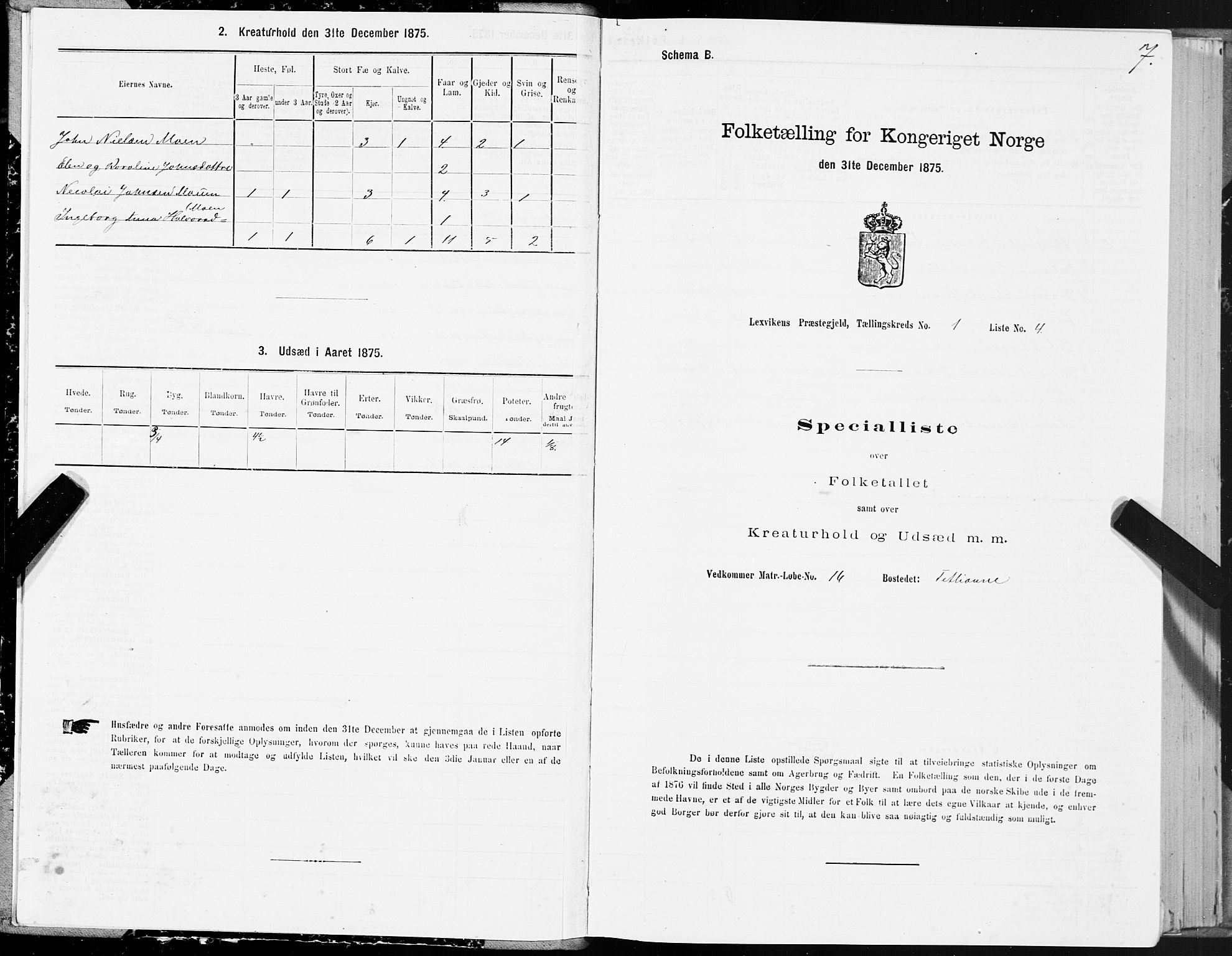 SAT, 1875 census for 1718P Leksvik, 1875, p. 1007