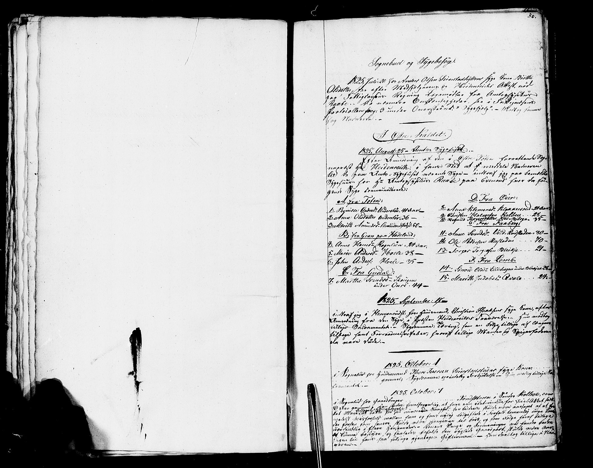 Vestre Toten prestekontor, SAH/PREST-108/H/Ha/Haa/L0001: Parish register (official) no. 1, 1825-1826, p. 50