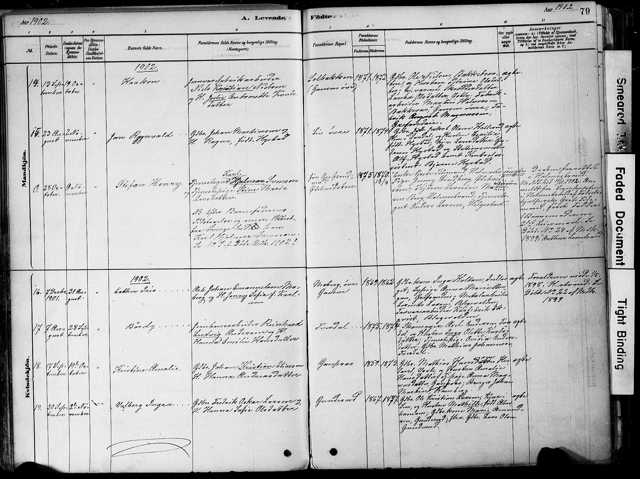 Botne kirkebøker, AV/SAKO-A-340/F/Fa/L0007: Parish register (official) no. I 7, 1878-1910, p. 79